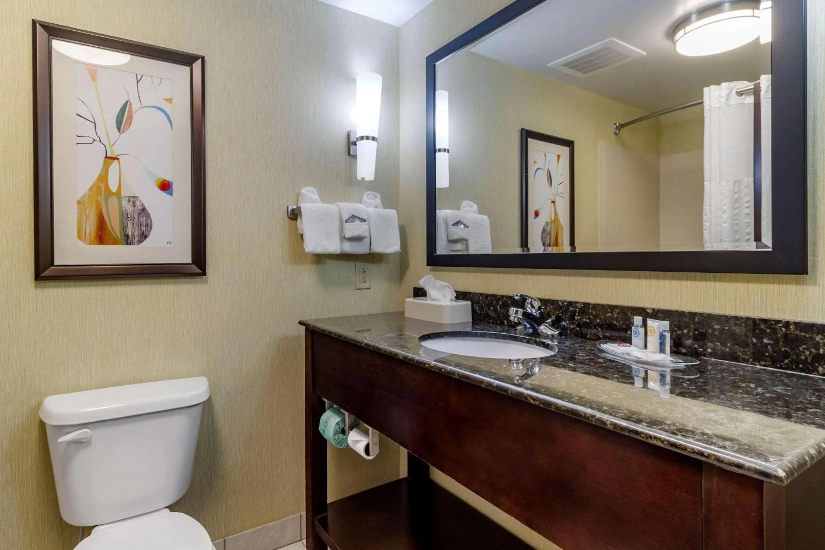 Bathroom in Comfort Suites Knoxville West - Farragut