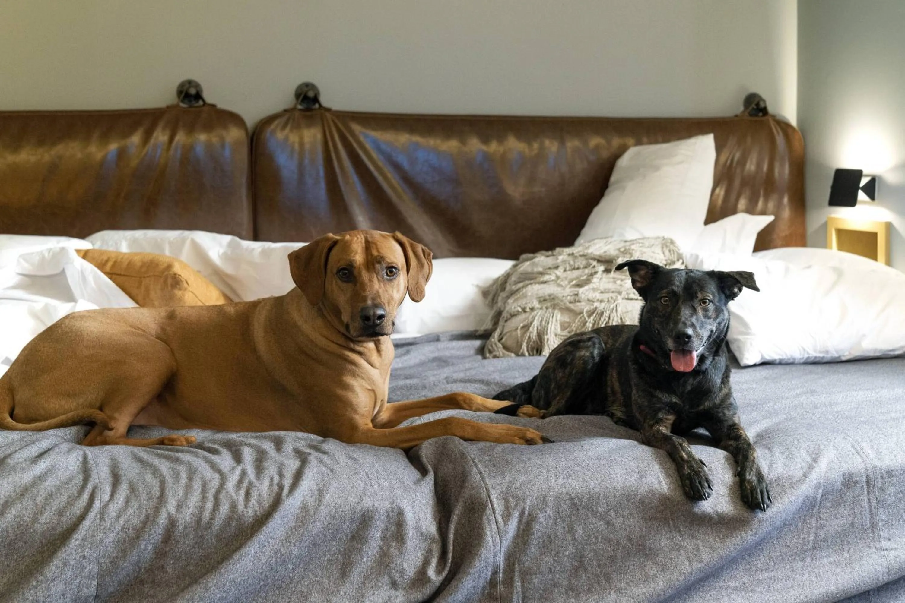 Other in MOXY Memphis Downtown