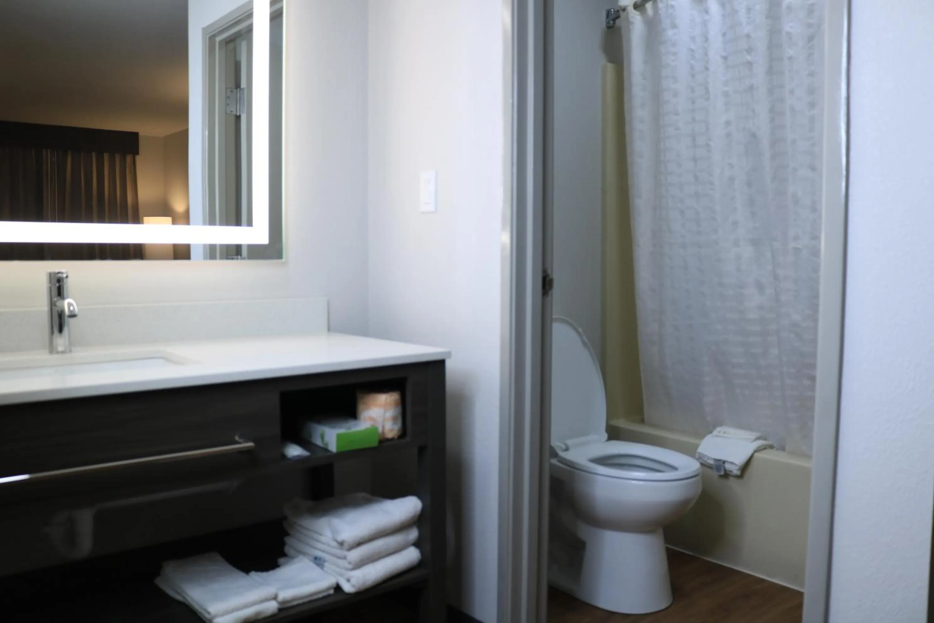 Shower in Econo Lodge Inn & Suites Southeast