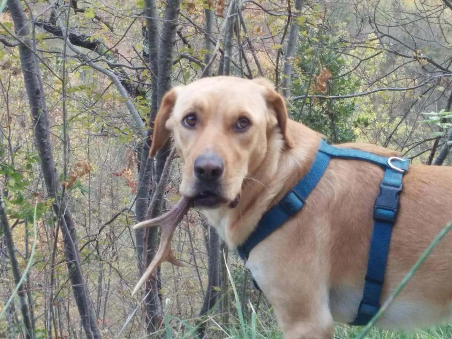Staff in La Corte di Nonna Quercia