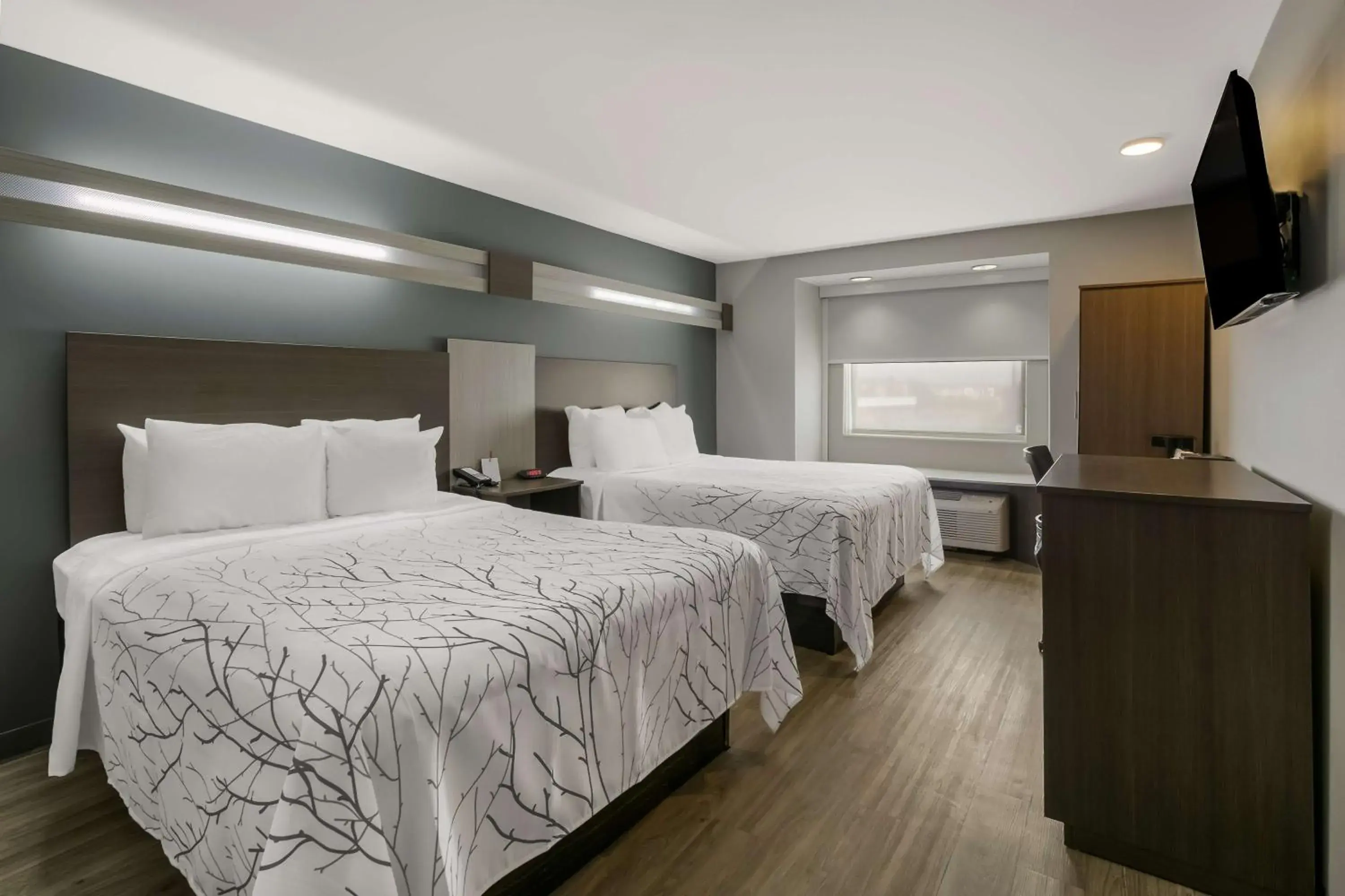 Queen Rooms with Two Queen Beds - Non-Smoking in SureStay Plus Hotel by Best Western Sevierville Queen Rooms with Two Queen Beds - Non-Smoking in SureStay Plus Hotel by Best Western Sevierville