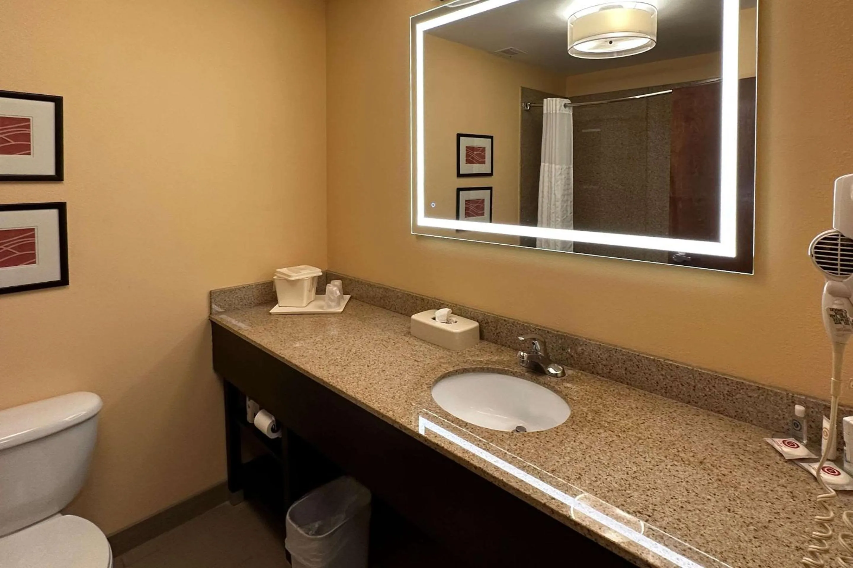 Bedroom in Comfort Inn & Suites Rogersville