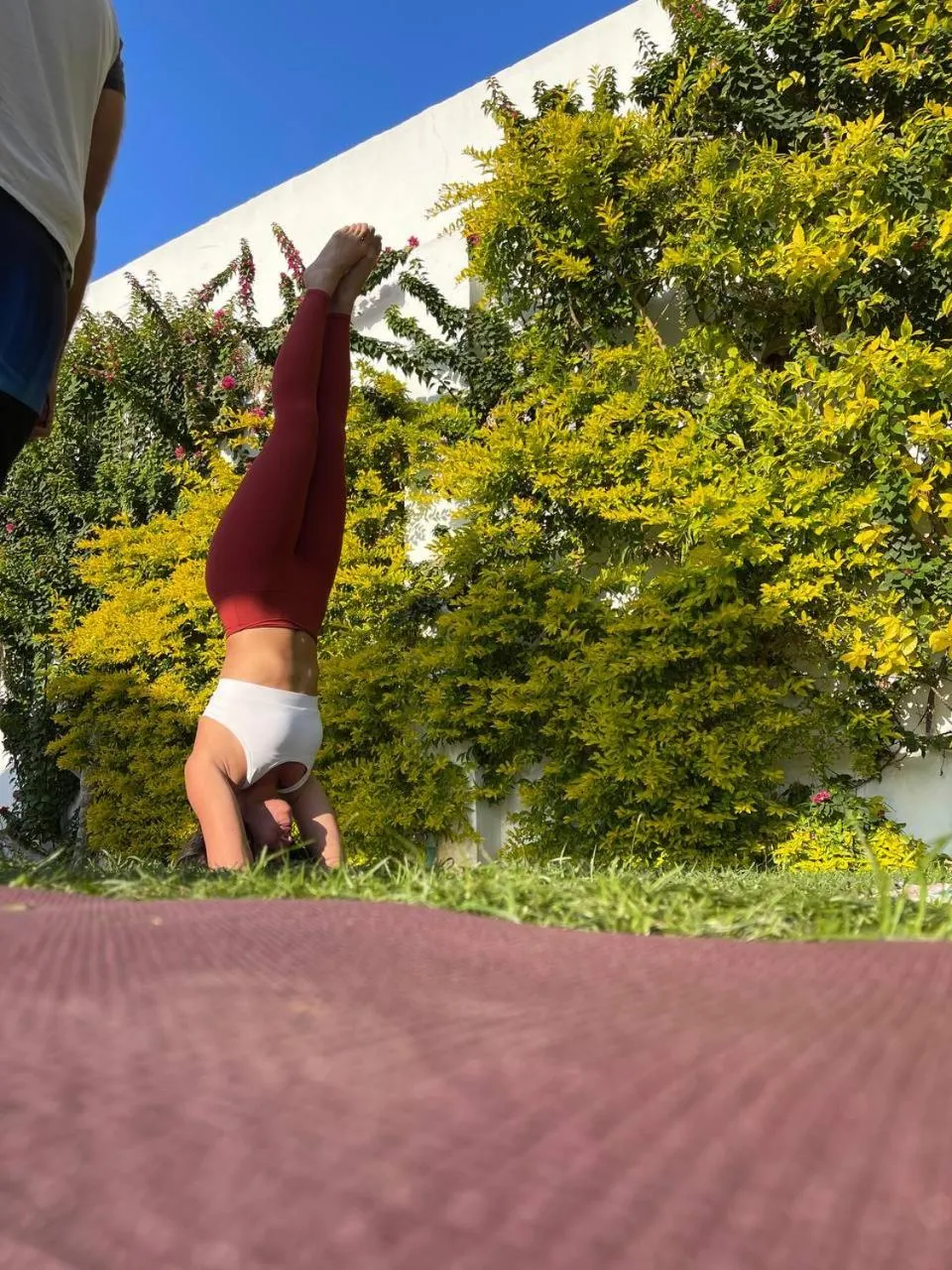 Garden view in Dahab Holiday Hotel