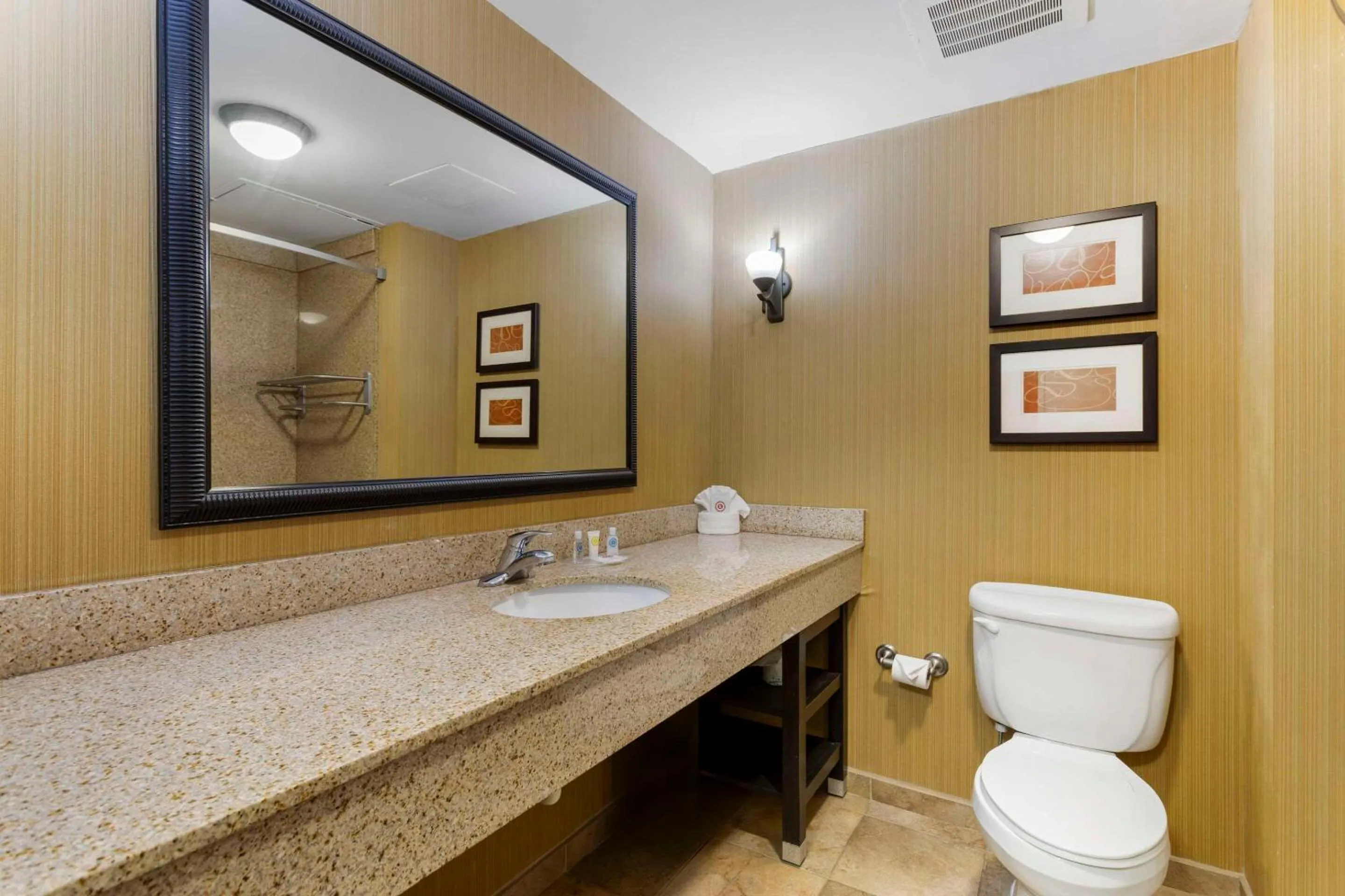 Bedroom in Comfort Suites Kodak Sevierville