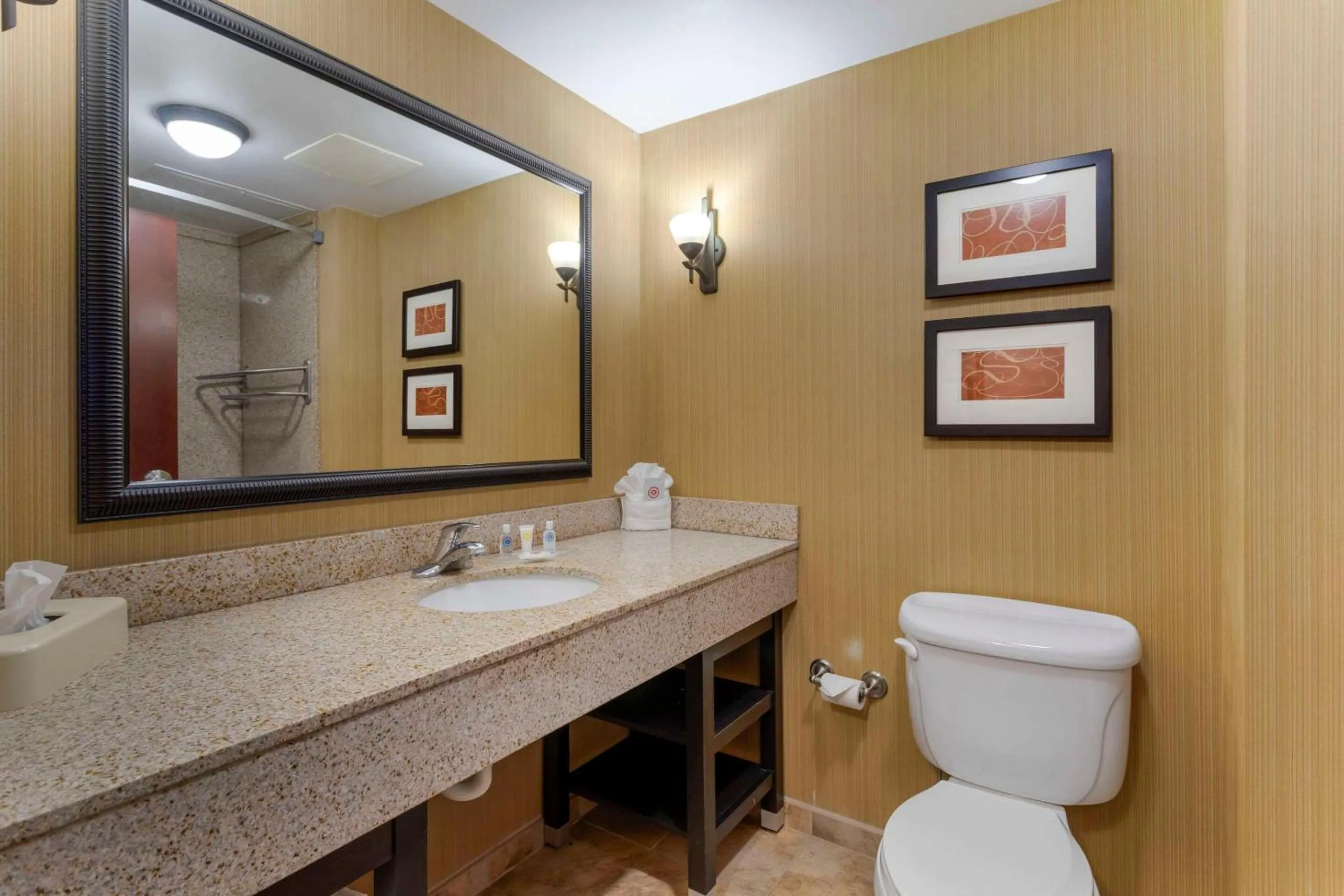 Bedroom in Comfort Suites Kodak Sevierville