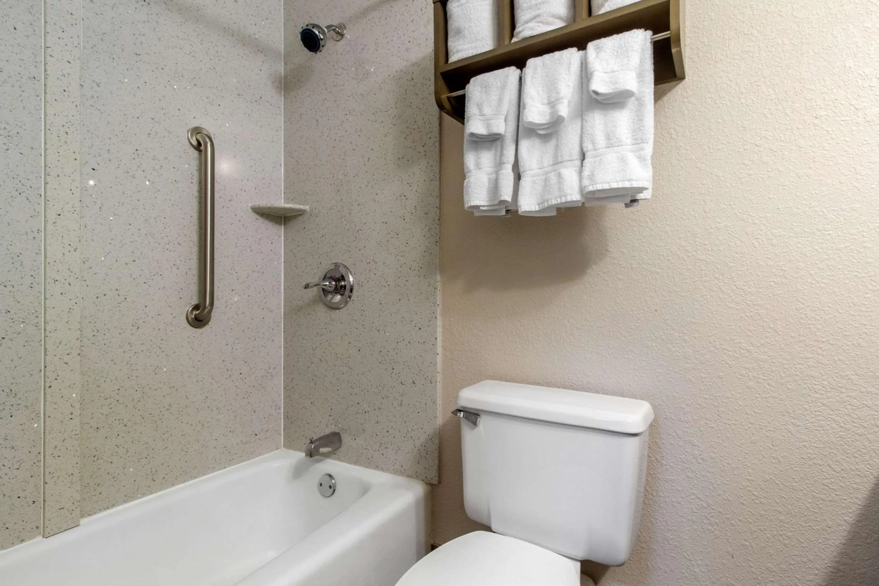 Executive Queen Room - Non-Smoking in Quality Inn Cookeville