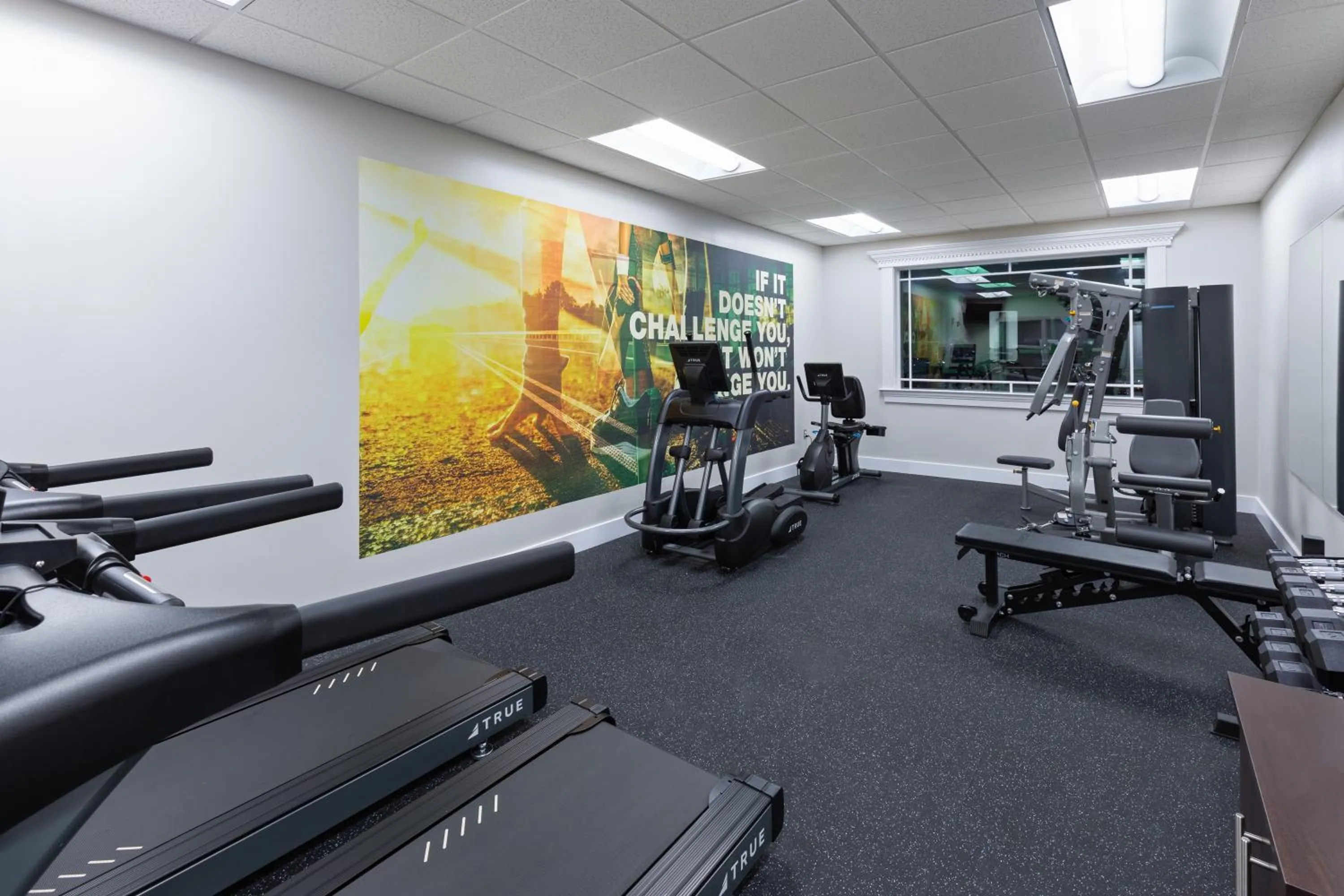 Fitness centre/facilities in The Walden, Trademark Collection By Wyndham