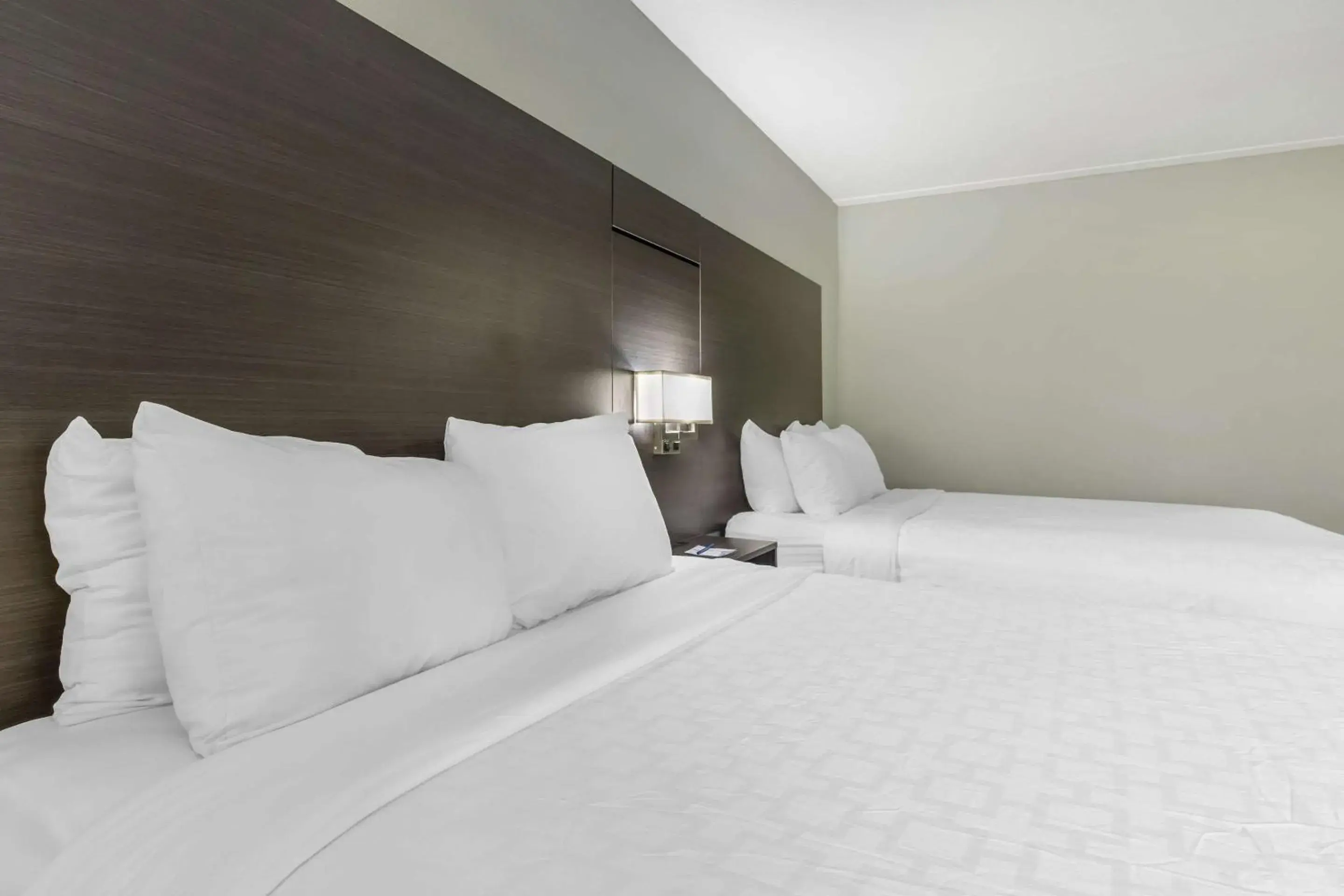 Queen Room with Two Queen Beds - Non-Smoking in Clarion Inn near Lookout Mountain Queen Room with Two Queen Beds - Non-Smoking in Clarion Inn near Lookout Mountain