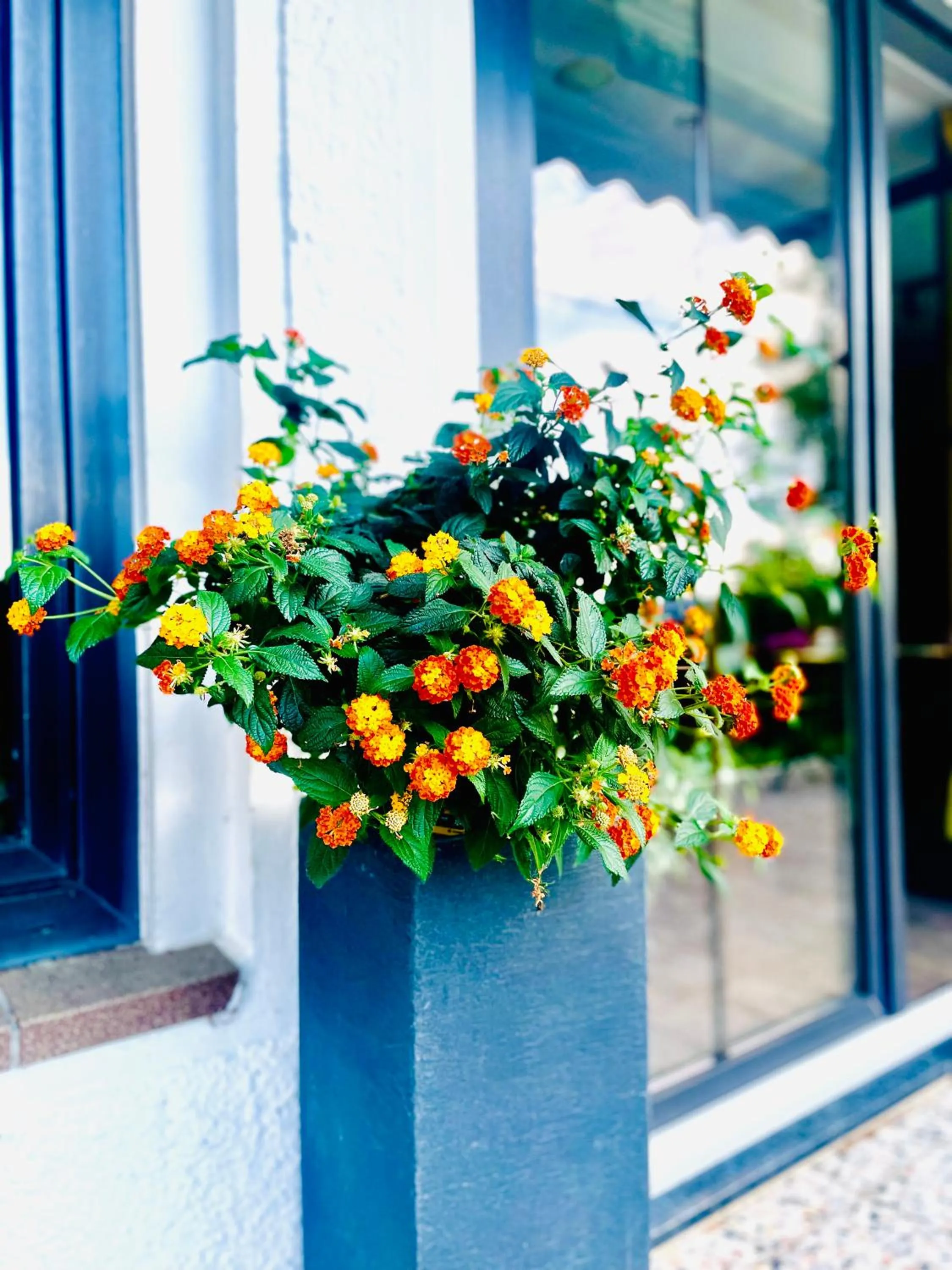 Spring in Berghof Hotel