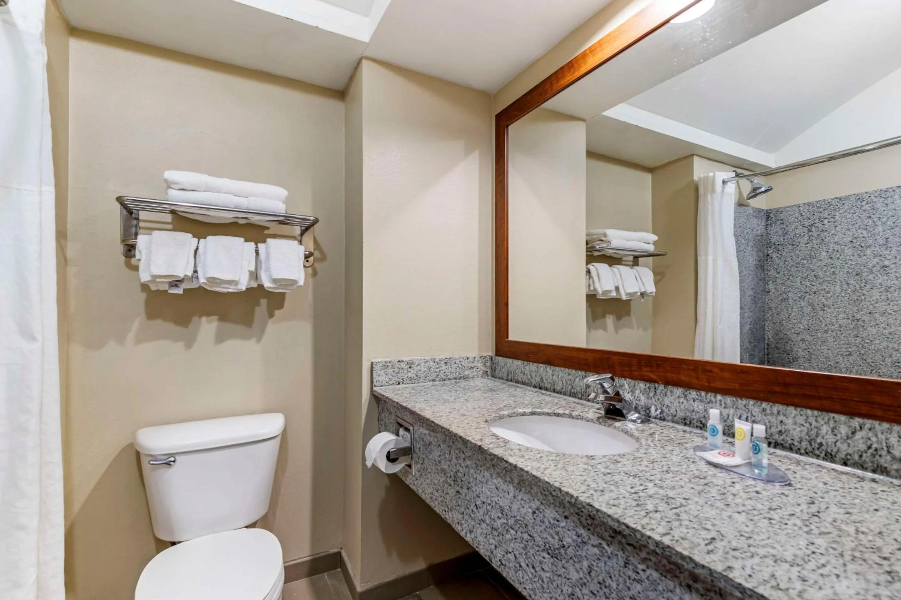 Bedroom in Comfort Inn & Suites Seguin