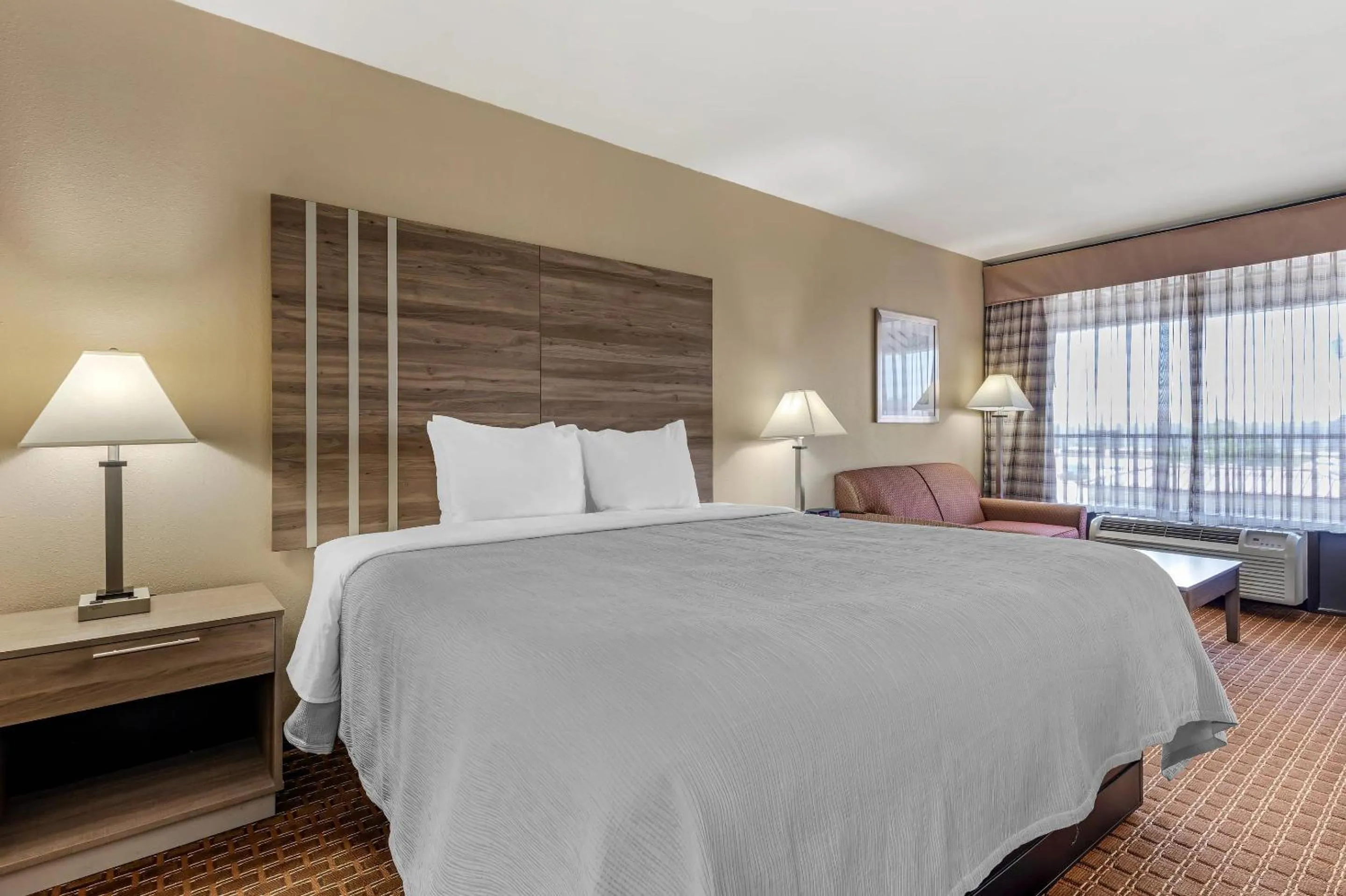 Bedroom, Bed in Quality Inn Paris Texas