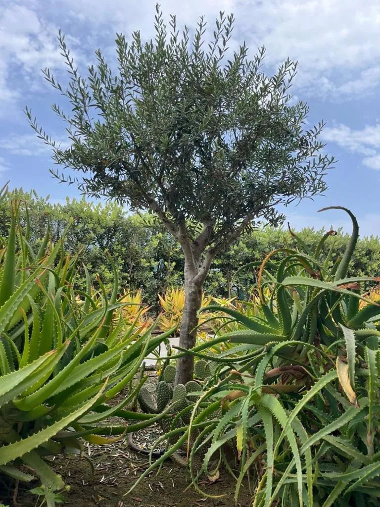 Property building in B&B Lo&G