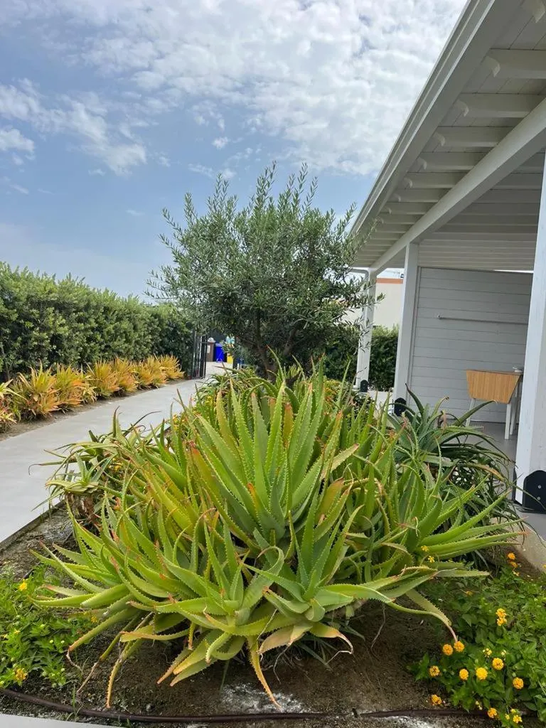 Property building in B&B Lo&G