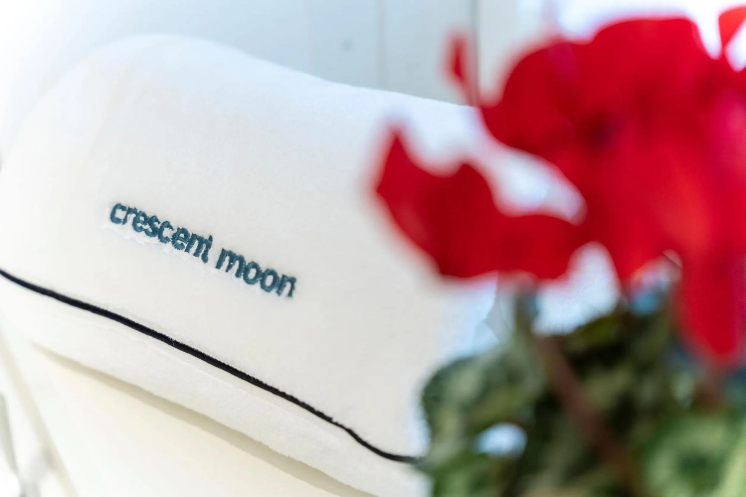 Decorative detail in Crescent Moon