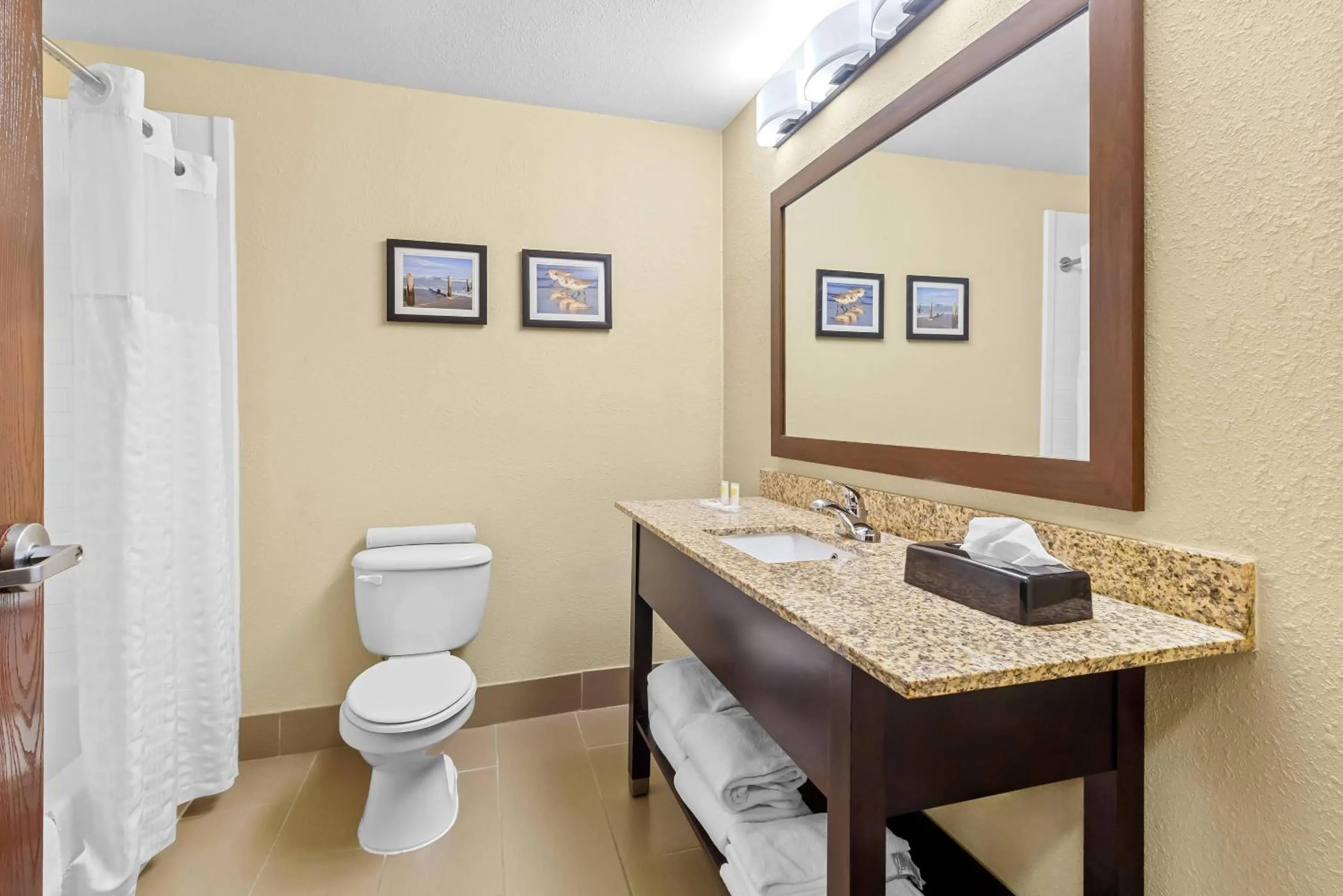 Bedroom in Comfort Suites Lake Jackson Clute