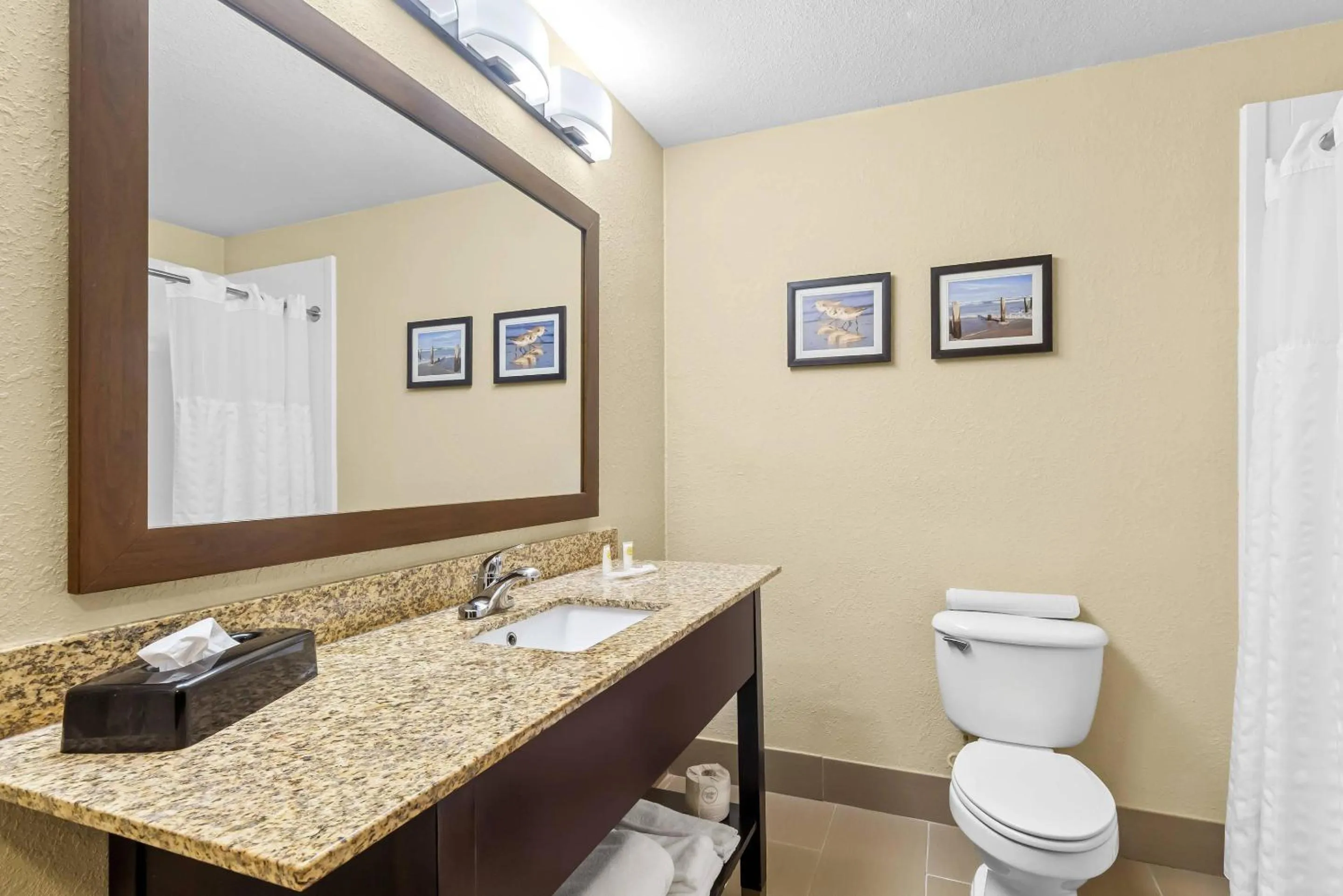 Bedroom in Comfort Suites Lake Jackson Clute