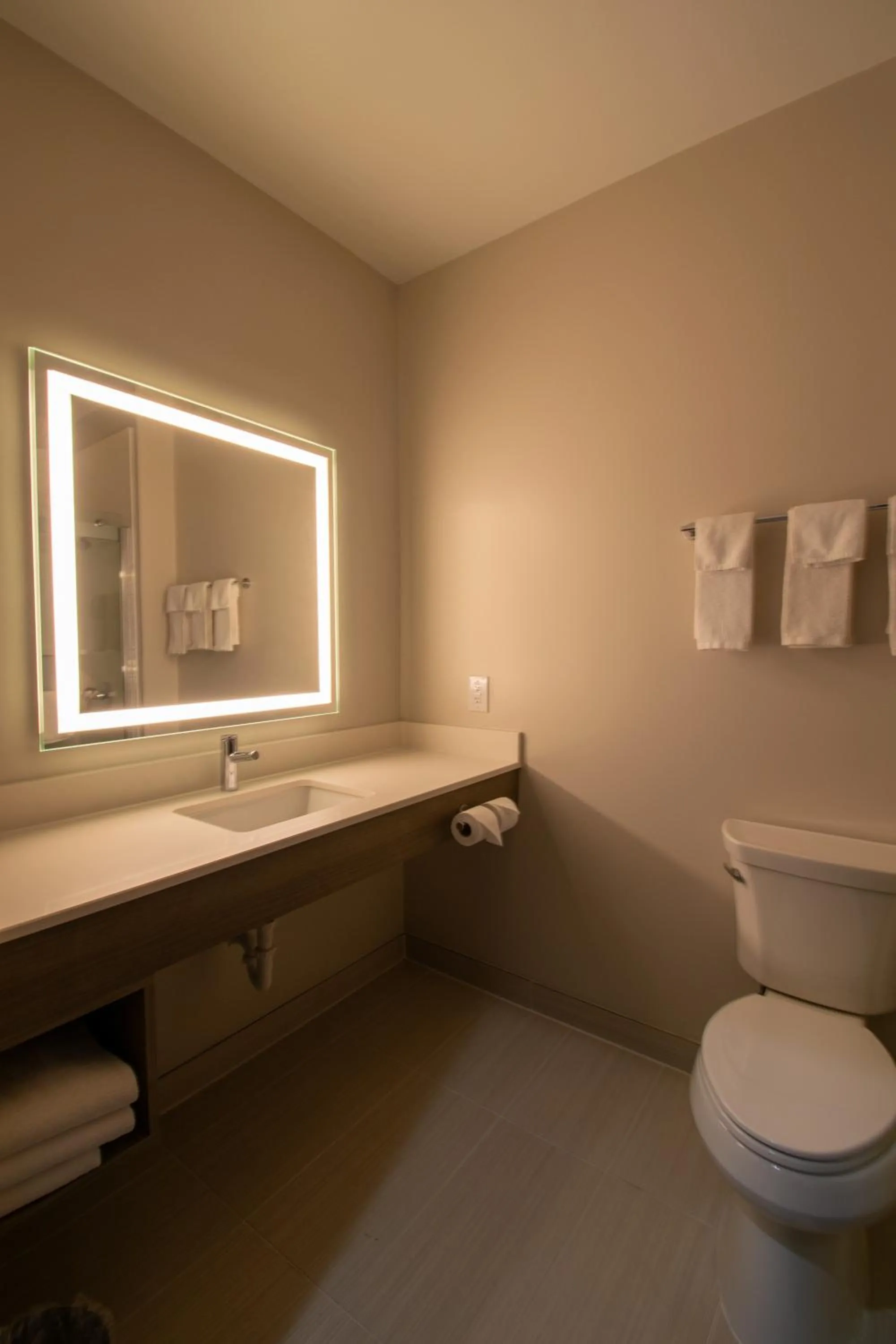 Toilet in Holiday Inn Express & Suites Sulphur Springs by IHG