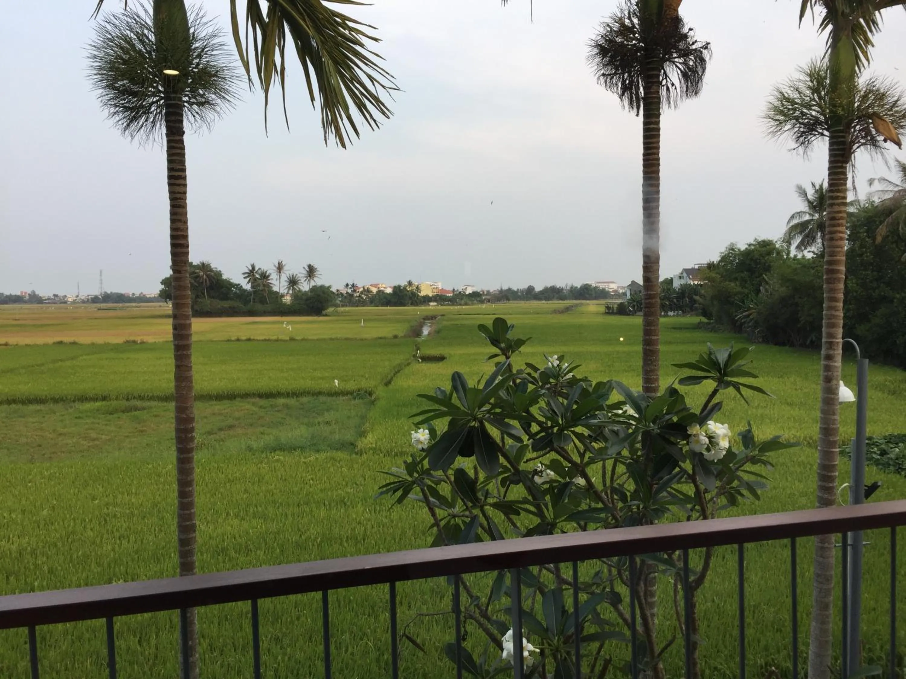 Hoian Tranquil Lodge - Chon Binh Yen