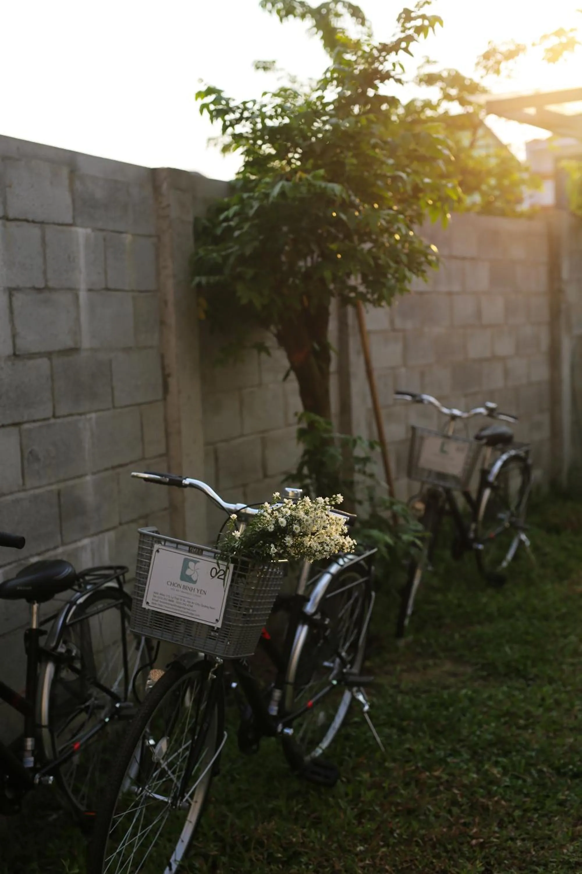 Hoian Tranquil Lodge - Chon Binh Yen