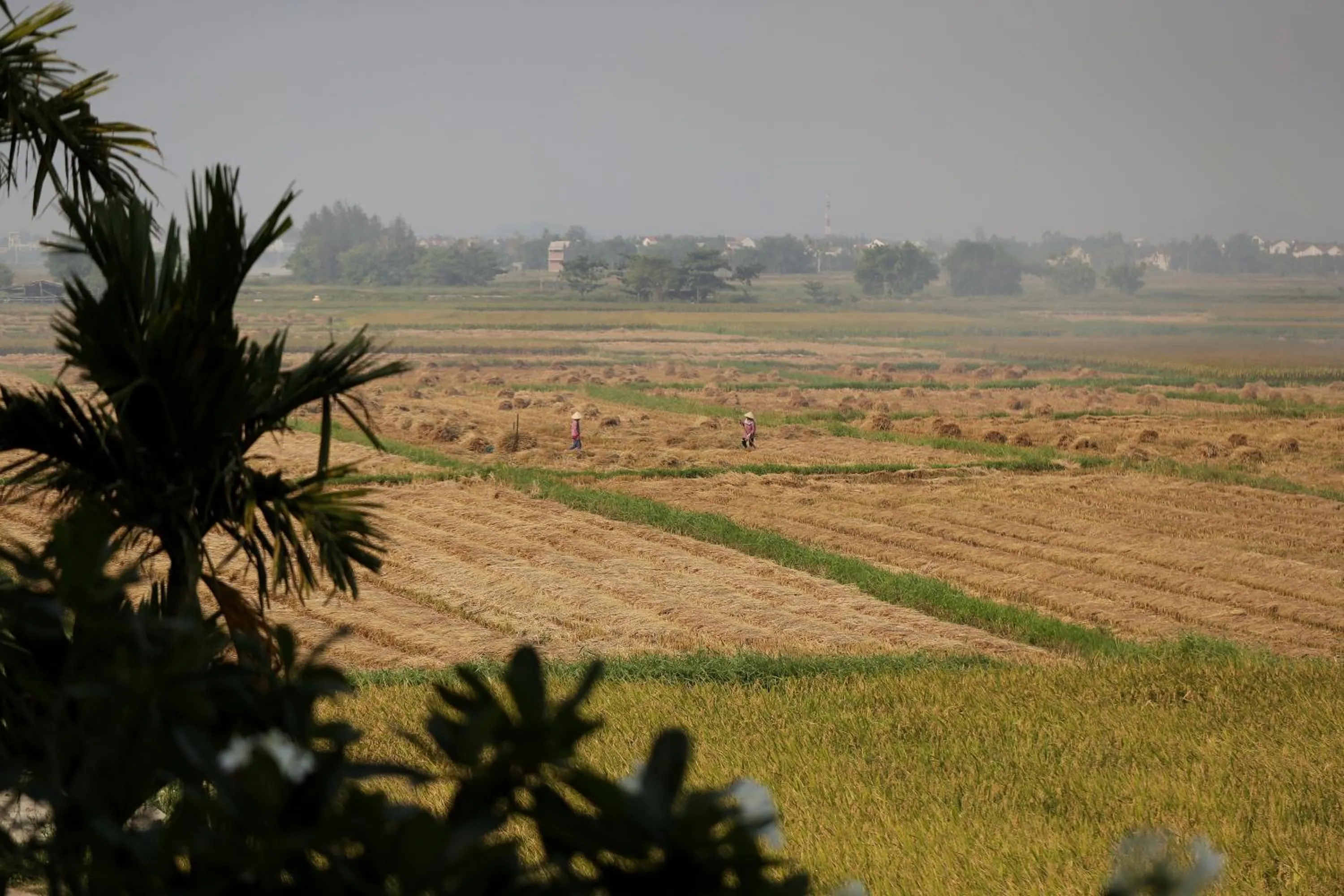 Hoian Tranquil Lodge - Chon Binh Yen