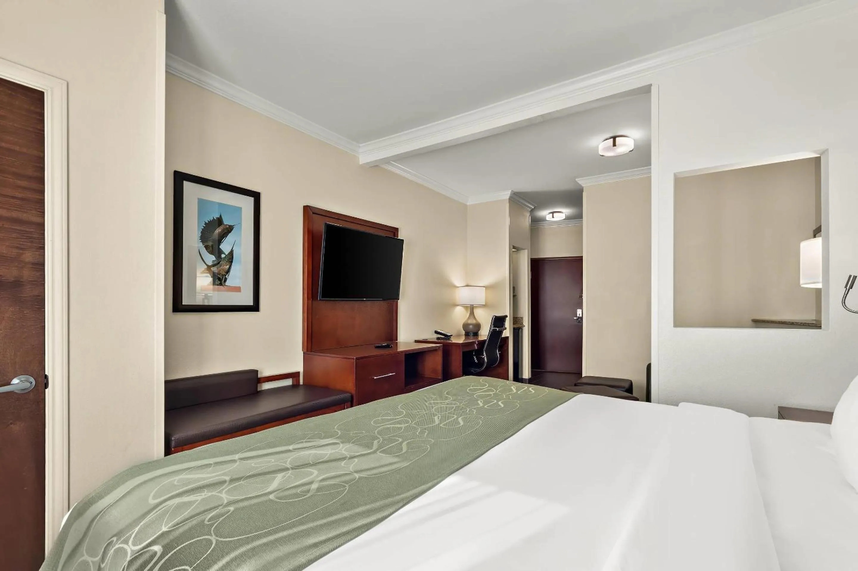 Bedroom, Bed in Comfort Suites Corpus Christi Central