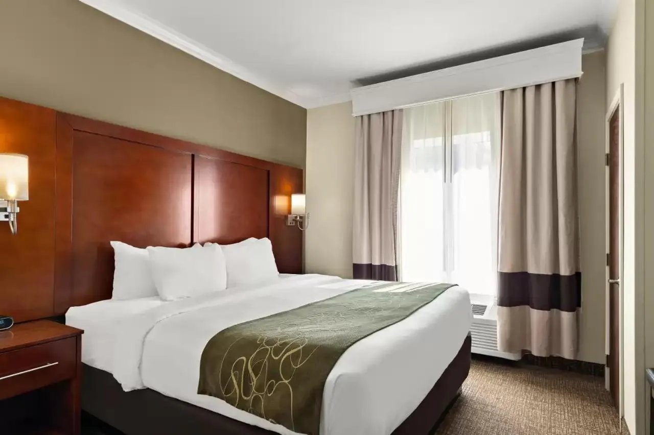 Bed in Comfort Suites Corpus Christi Central