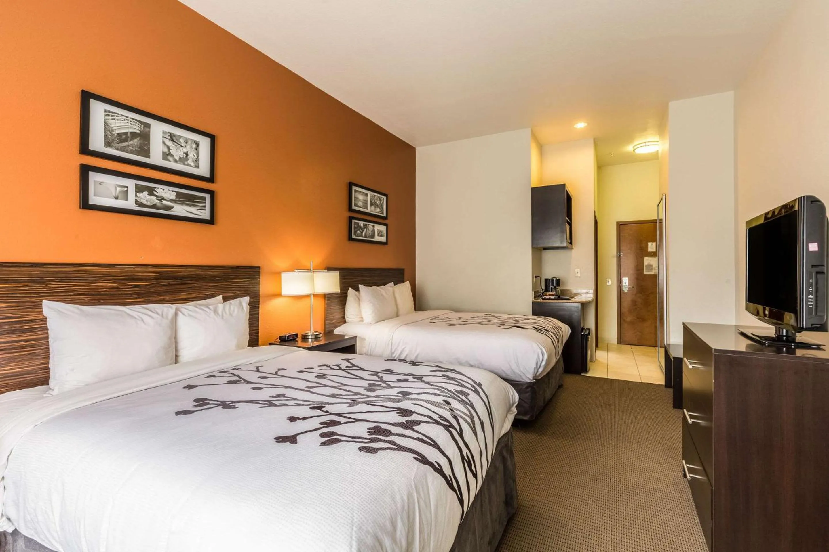 Photo of the whole room in Sleep Inn & Suites Stafford - Sugarland