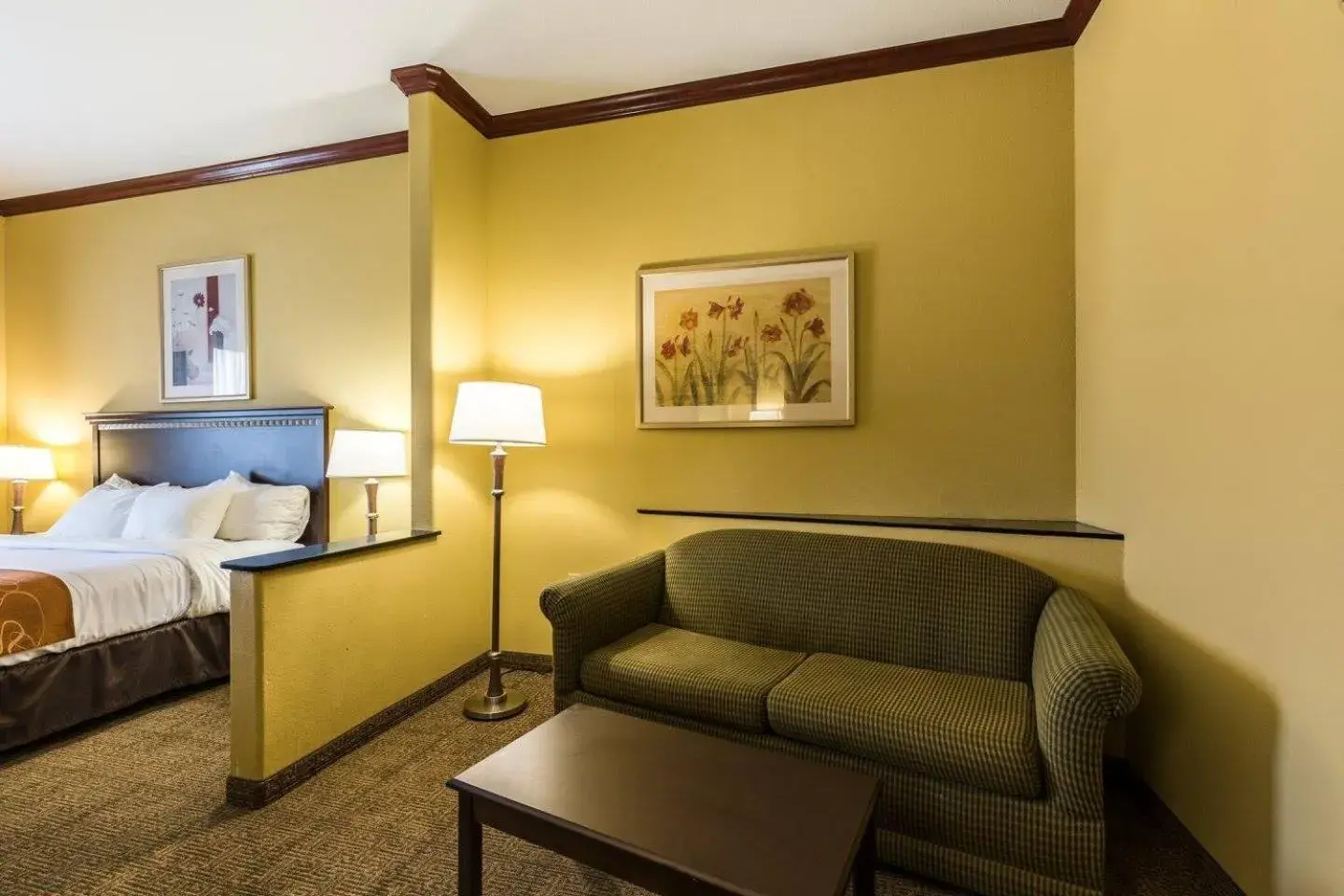 Standard Non Smoking King / Accessible in Comfort Suites Standard Non Smoking King / Accessible in Comfort Suites