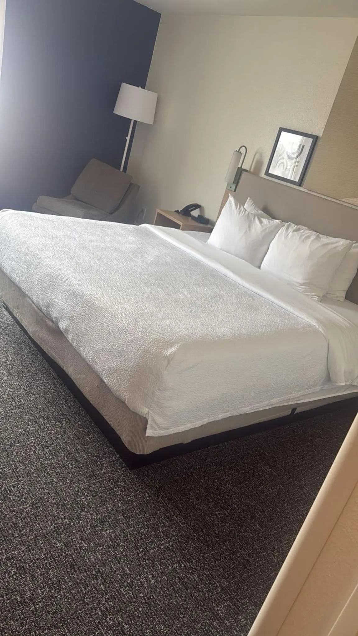 Bed in Spark by Hilton Killeen
