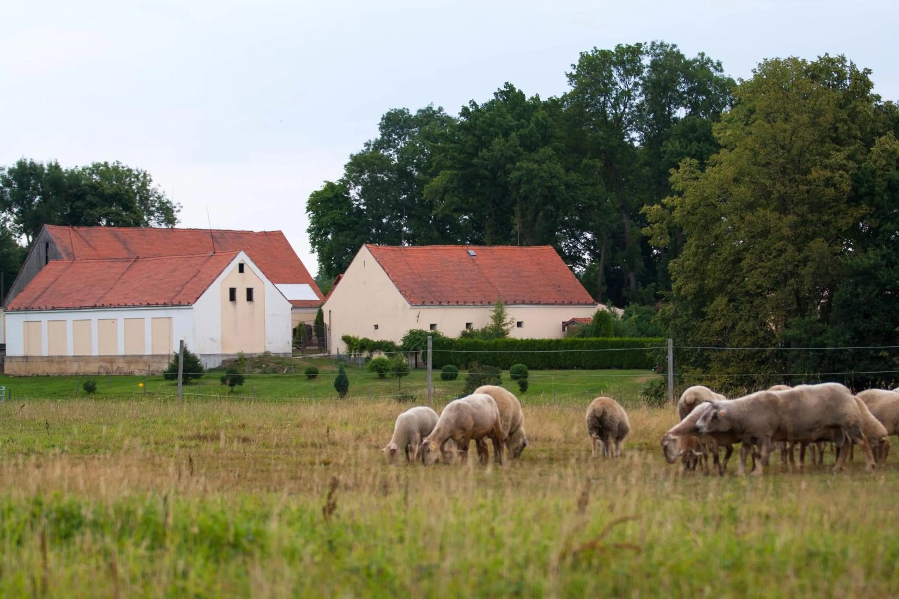 Facade/entrance in Hotel Resort Stein
