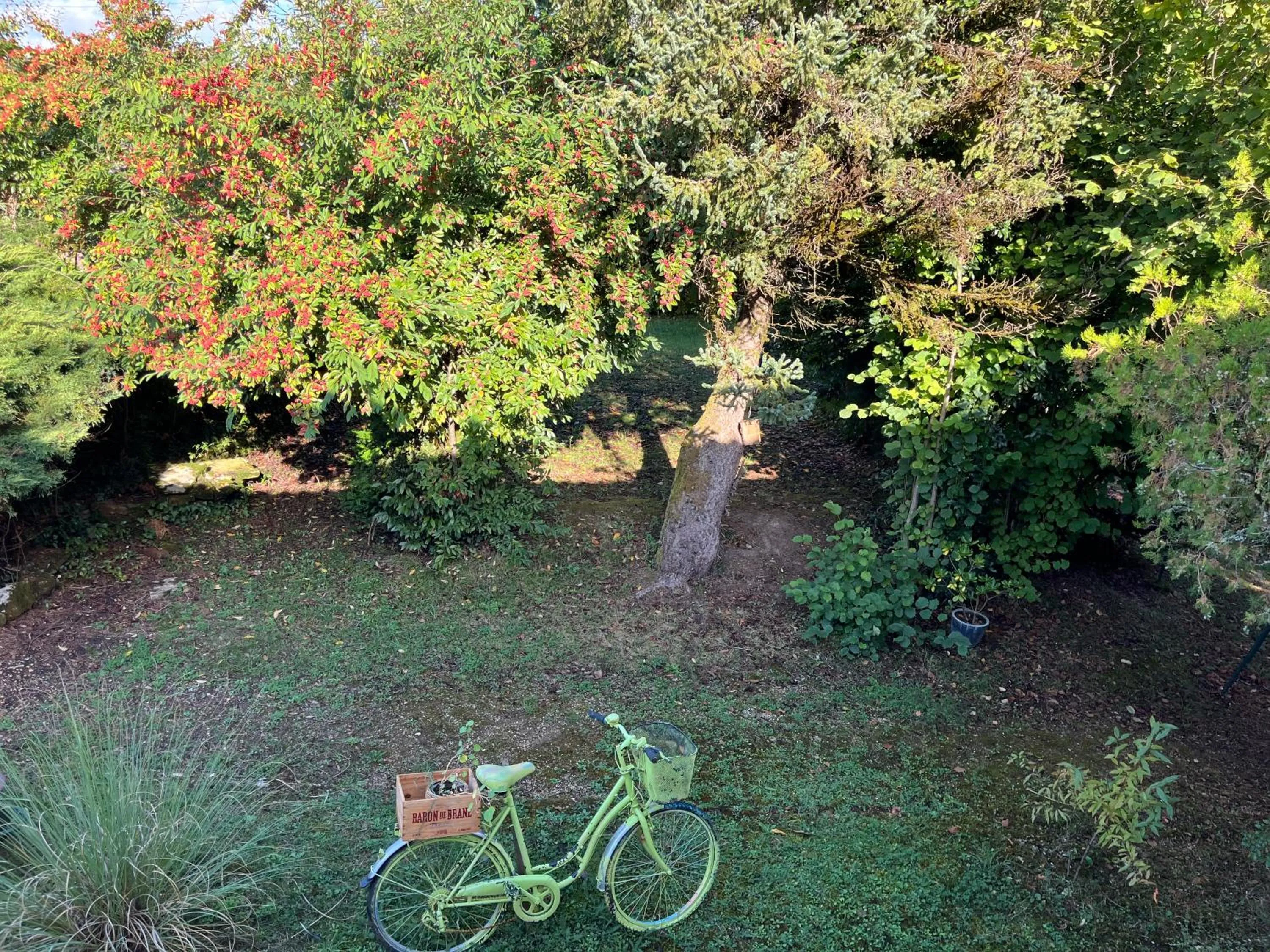 Spring in Villa Médicis