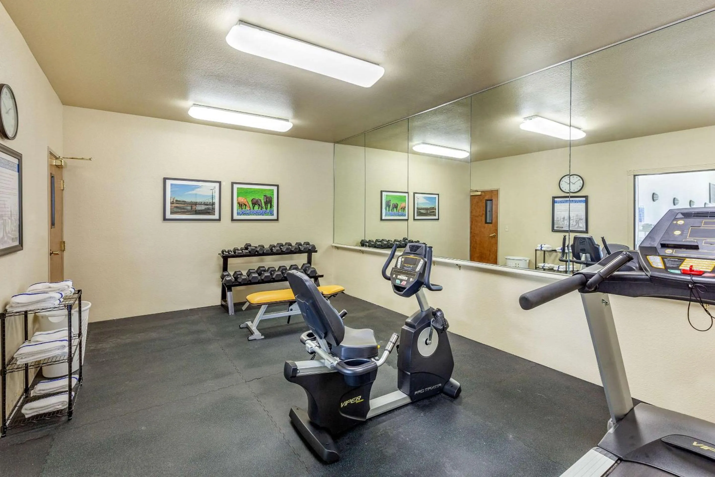 Fitness centre/facilities in Sleep Inn & Suites Hewitt - South Waco