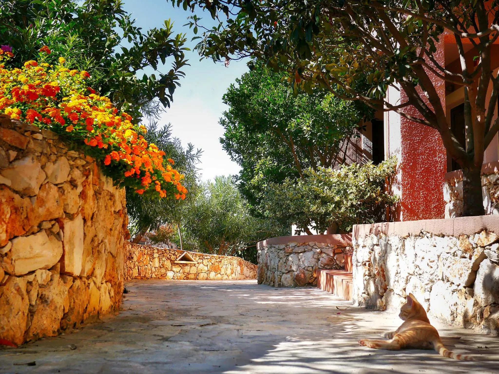 Patio in Areti Aparthotel