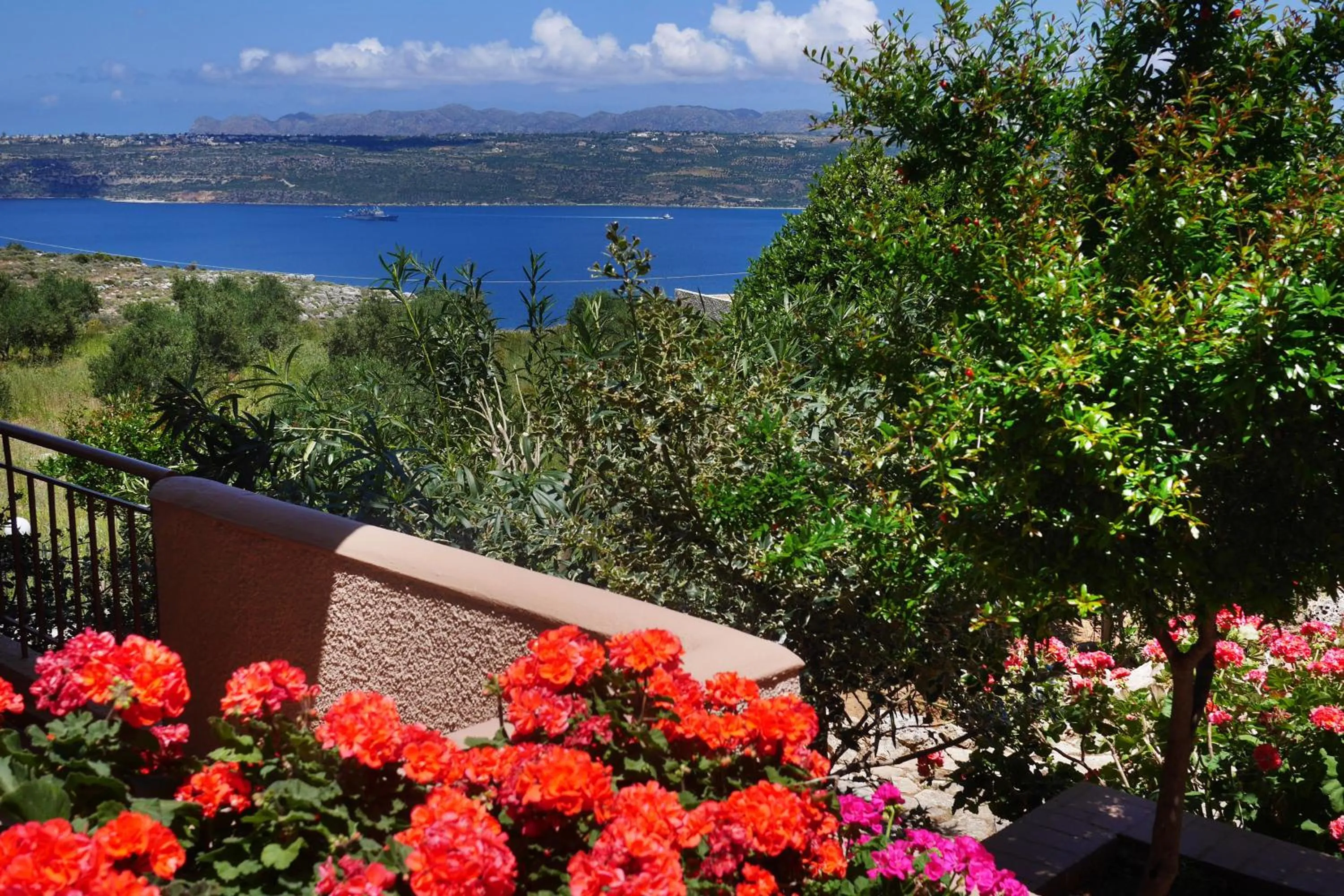Garden in Areti Aparthotel