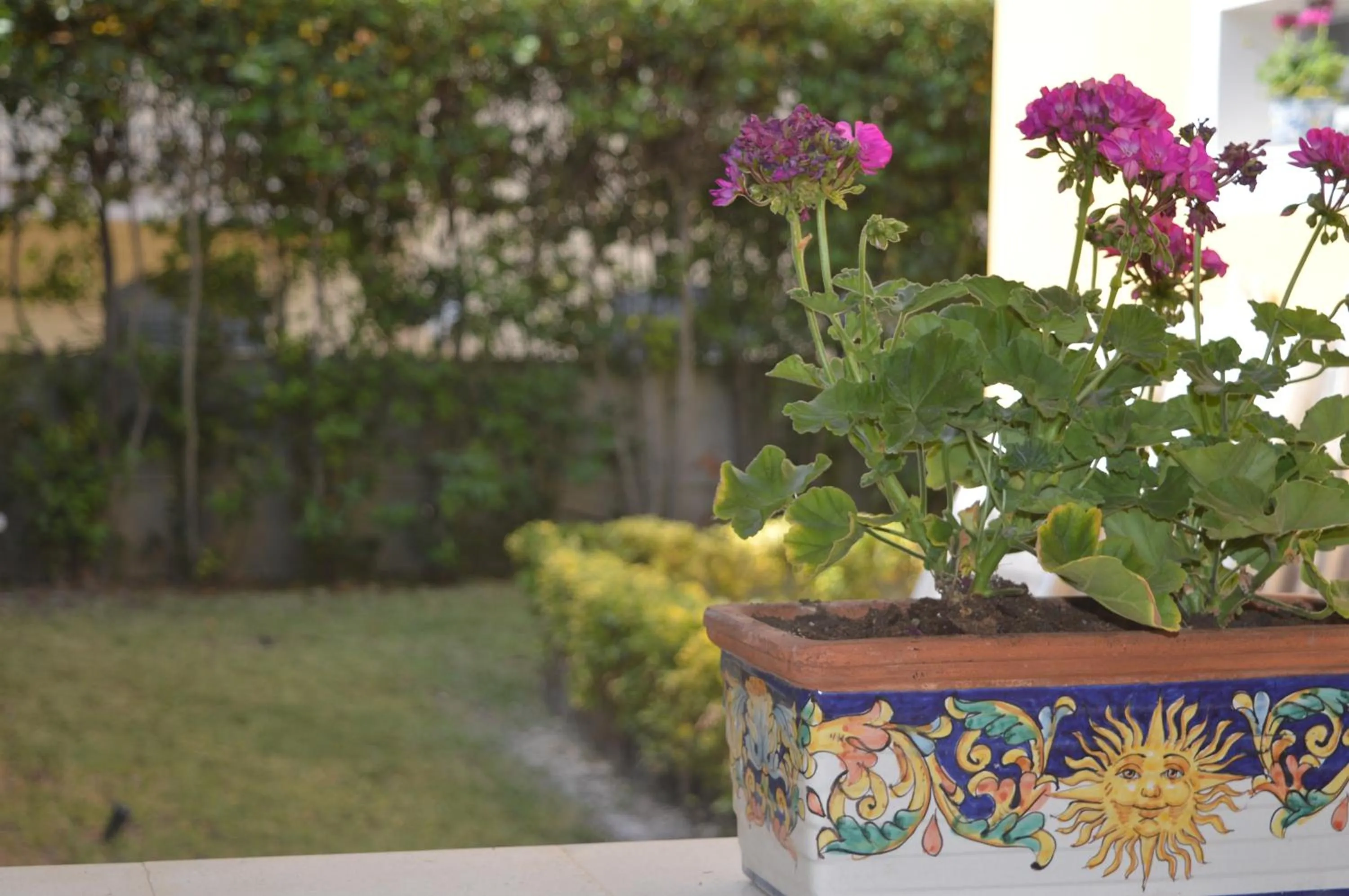 Garden in BeB L'ALLORO