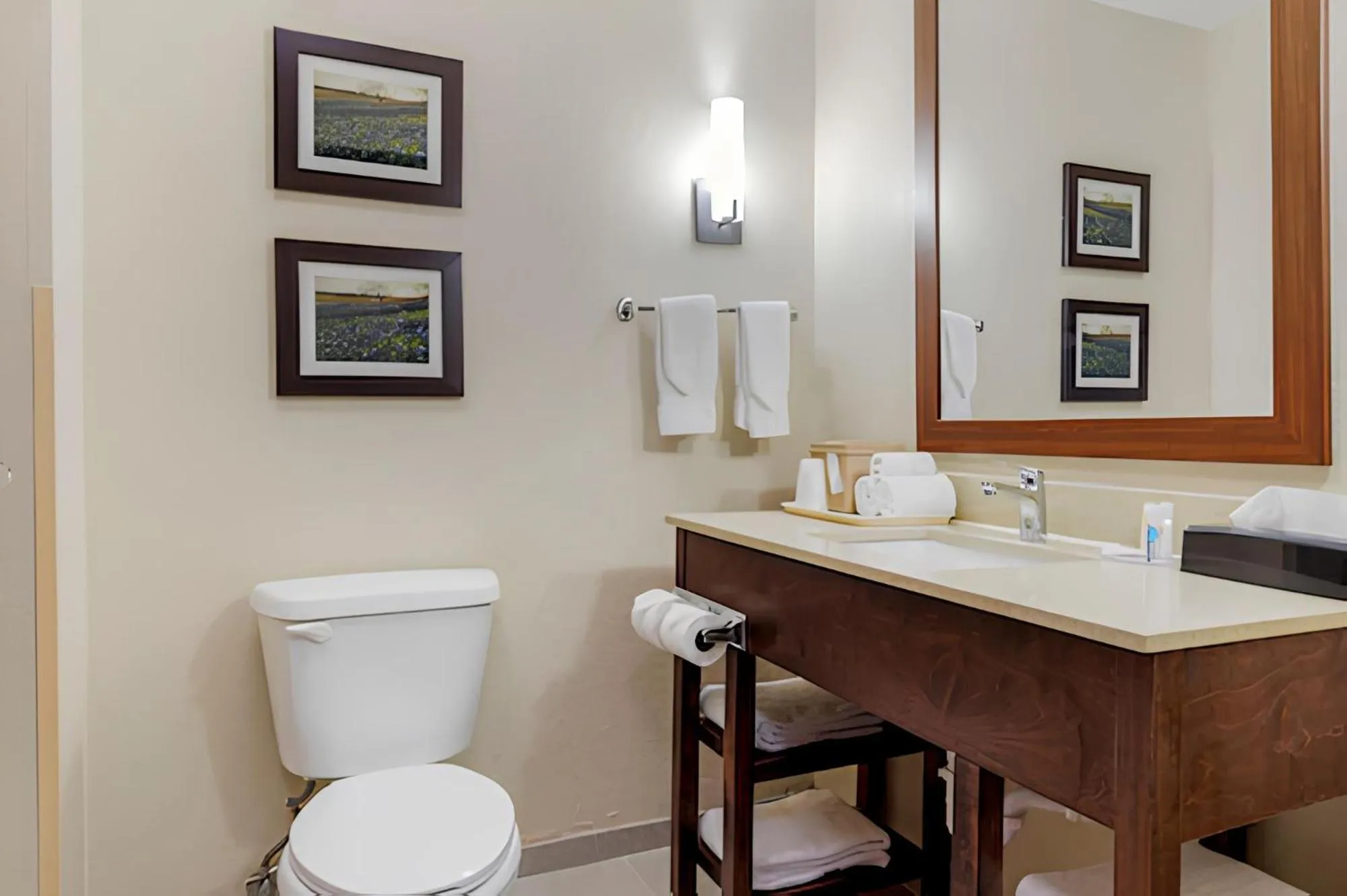 Bathroom in Comfort Suites Benbrook - Fort Worth Southwest