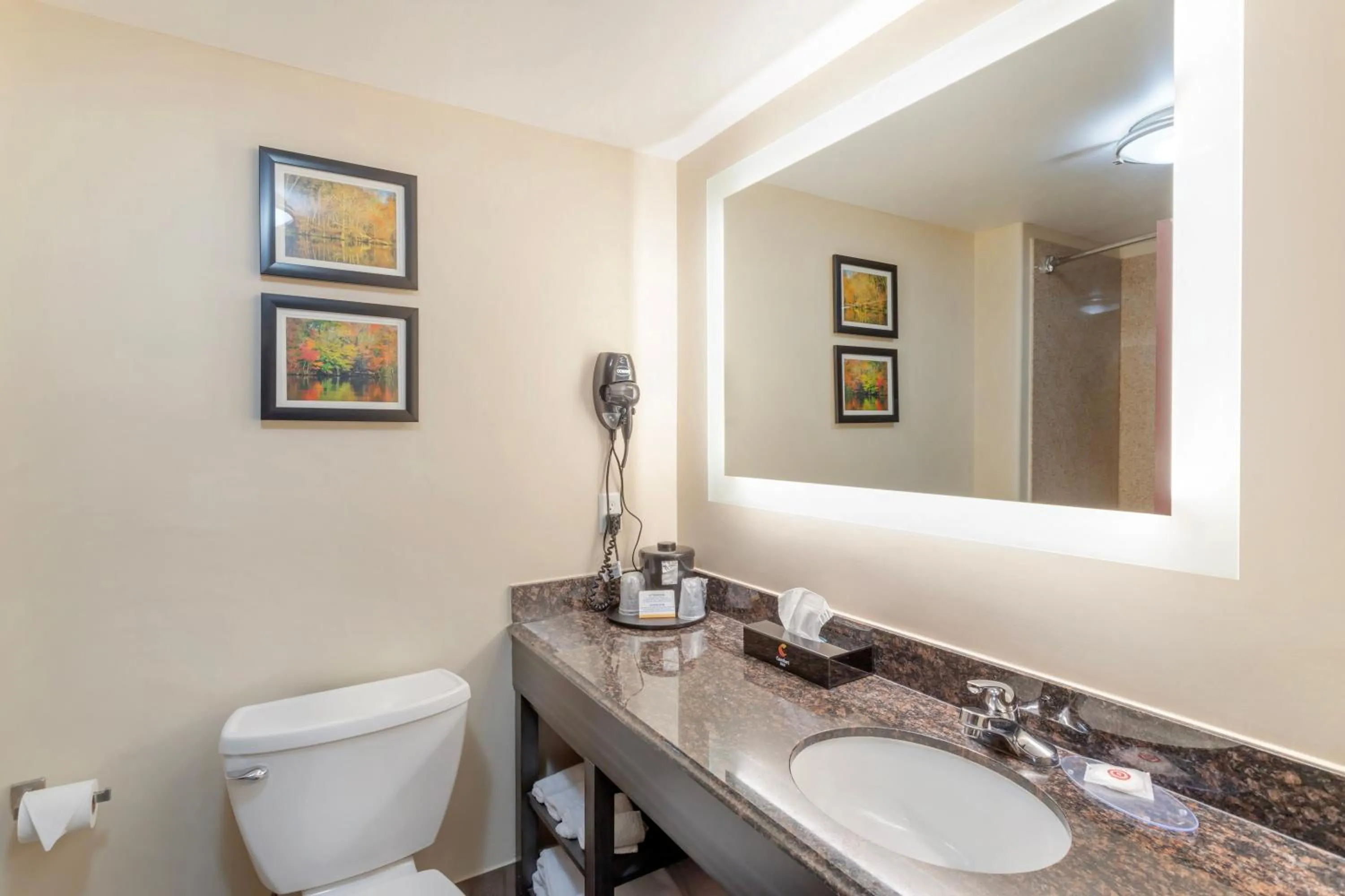 Toilet in Comfort Inn Orange I-10