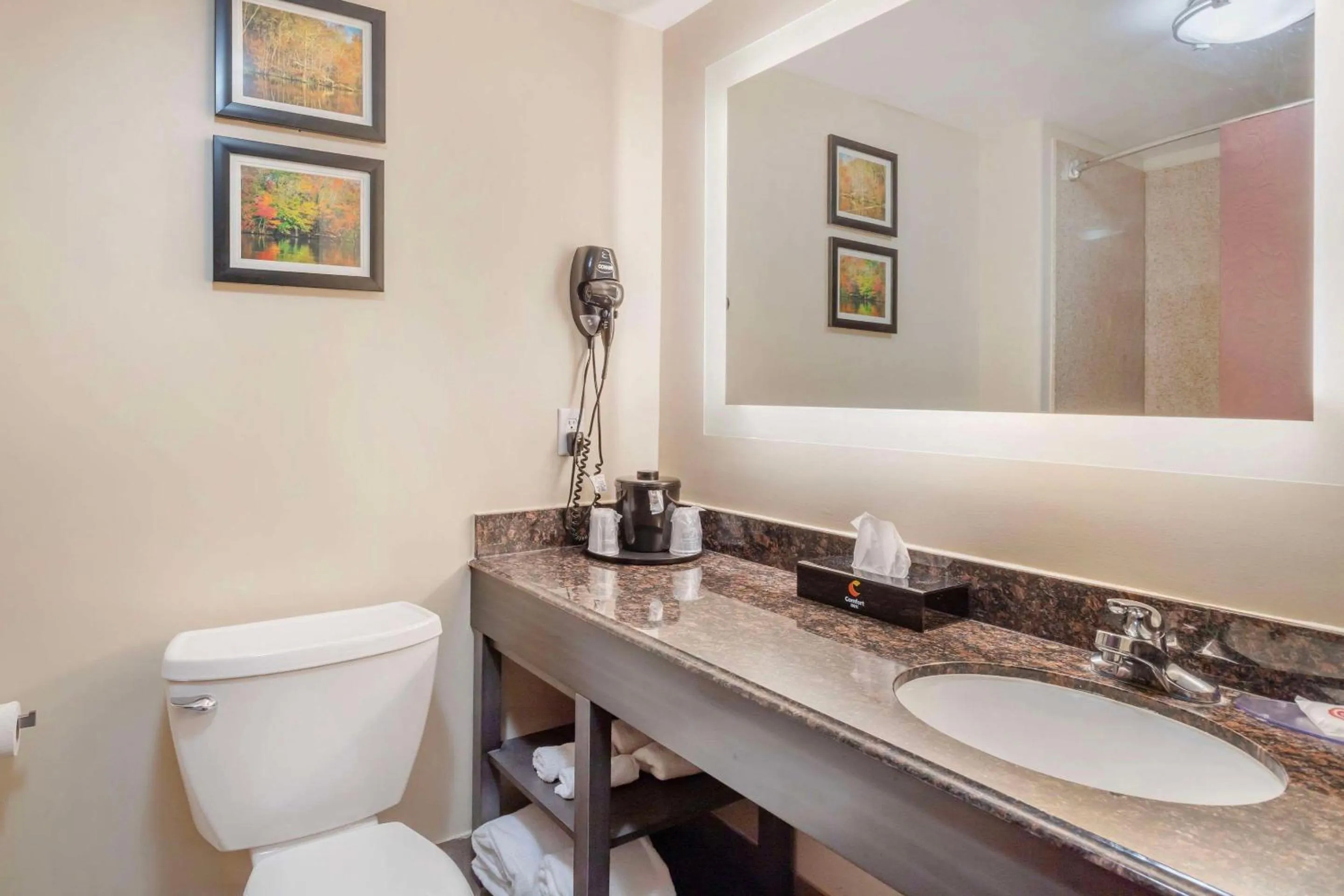 Bedroom in Comfort Inn Orange I-10