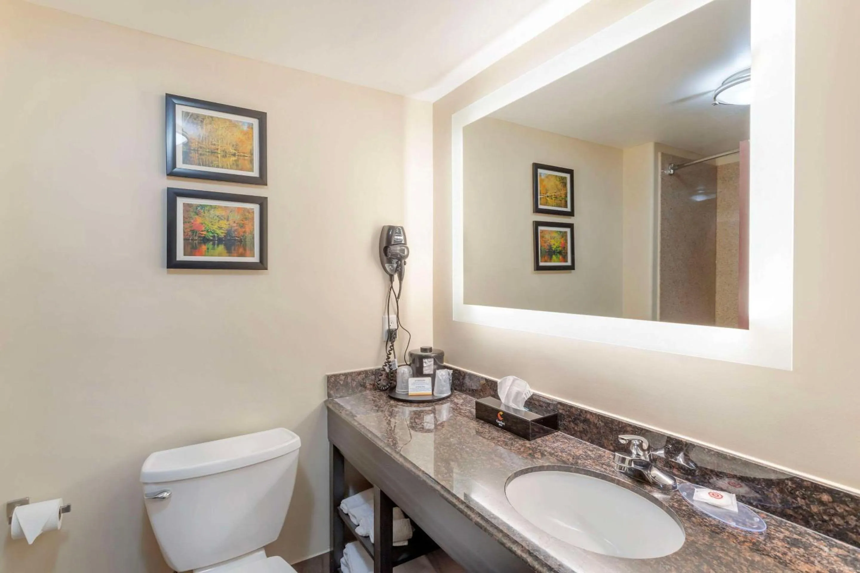 Bedroom in Comfort Inn Orange I-10