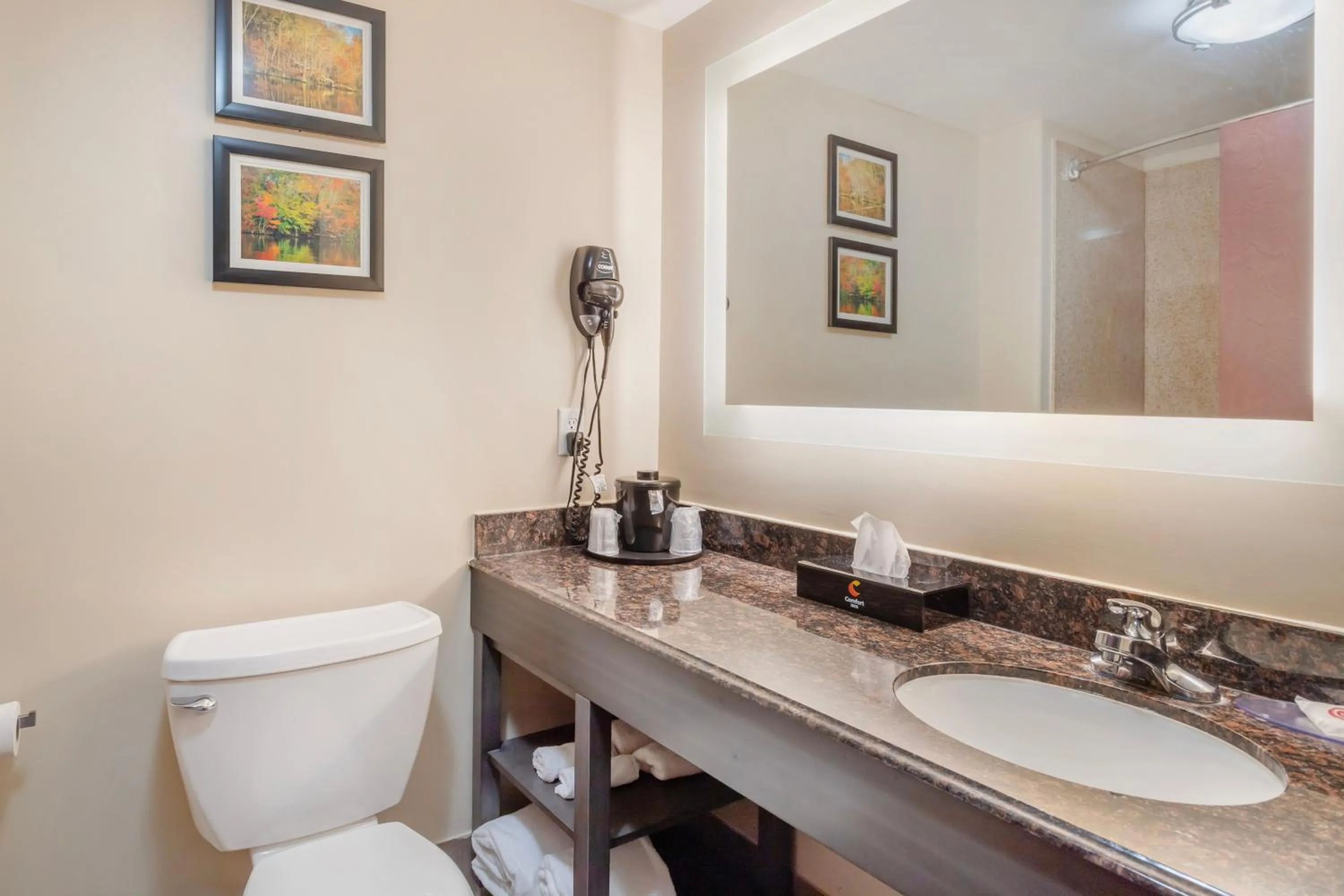 Toilet in Comfort Inn Orange I-10