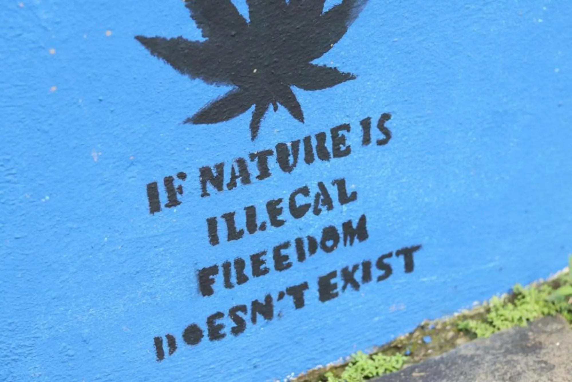 Garden in Planet B Hostel - Adults Only