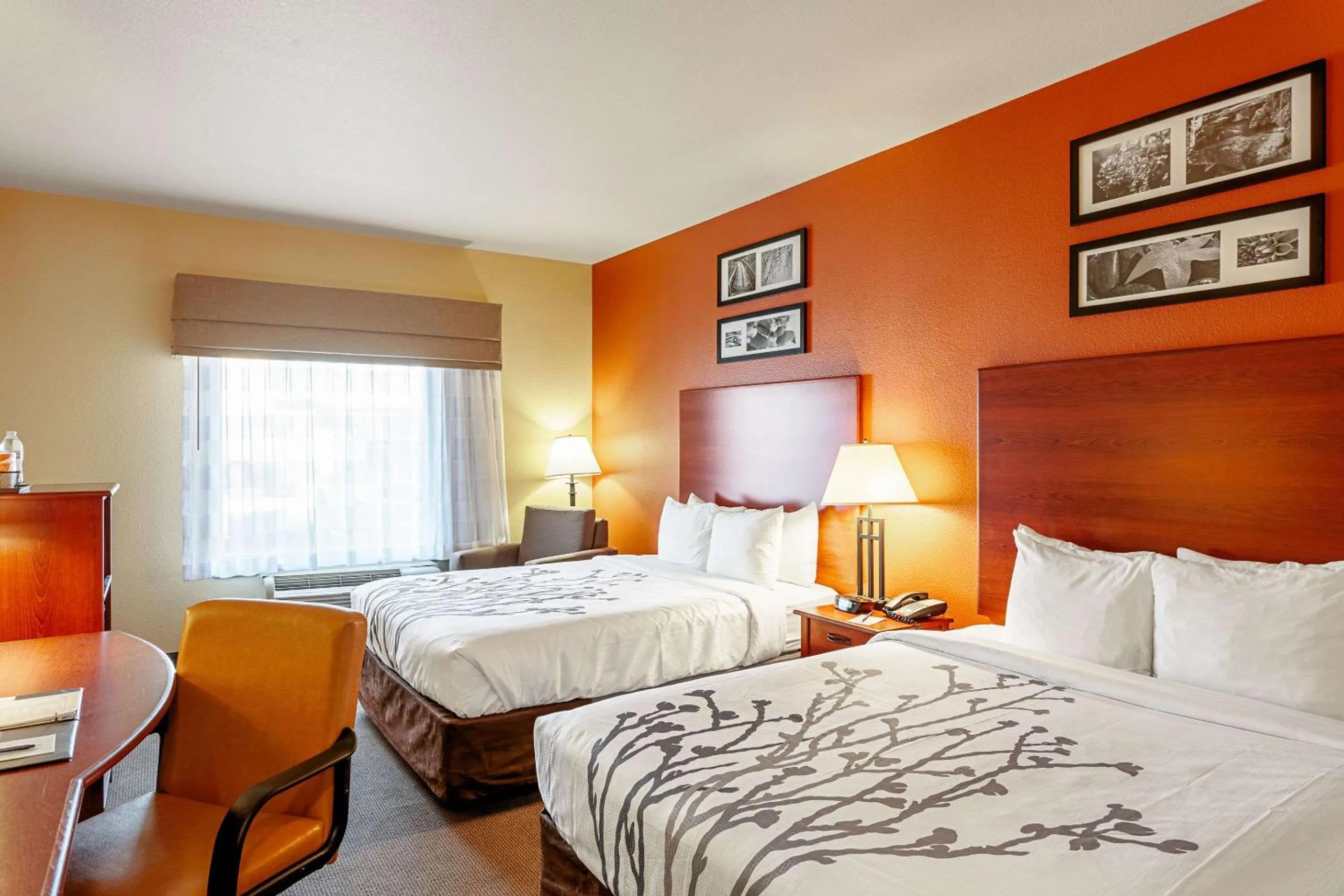 Photo of the whole room, Bed in Sleep Inn & Suites Tyler South