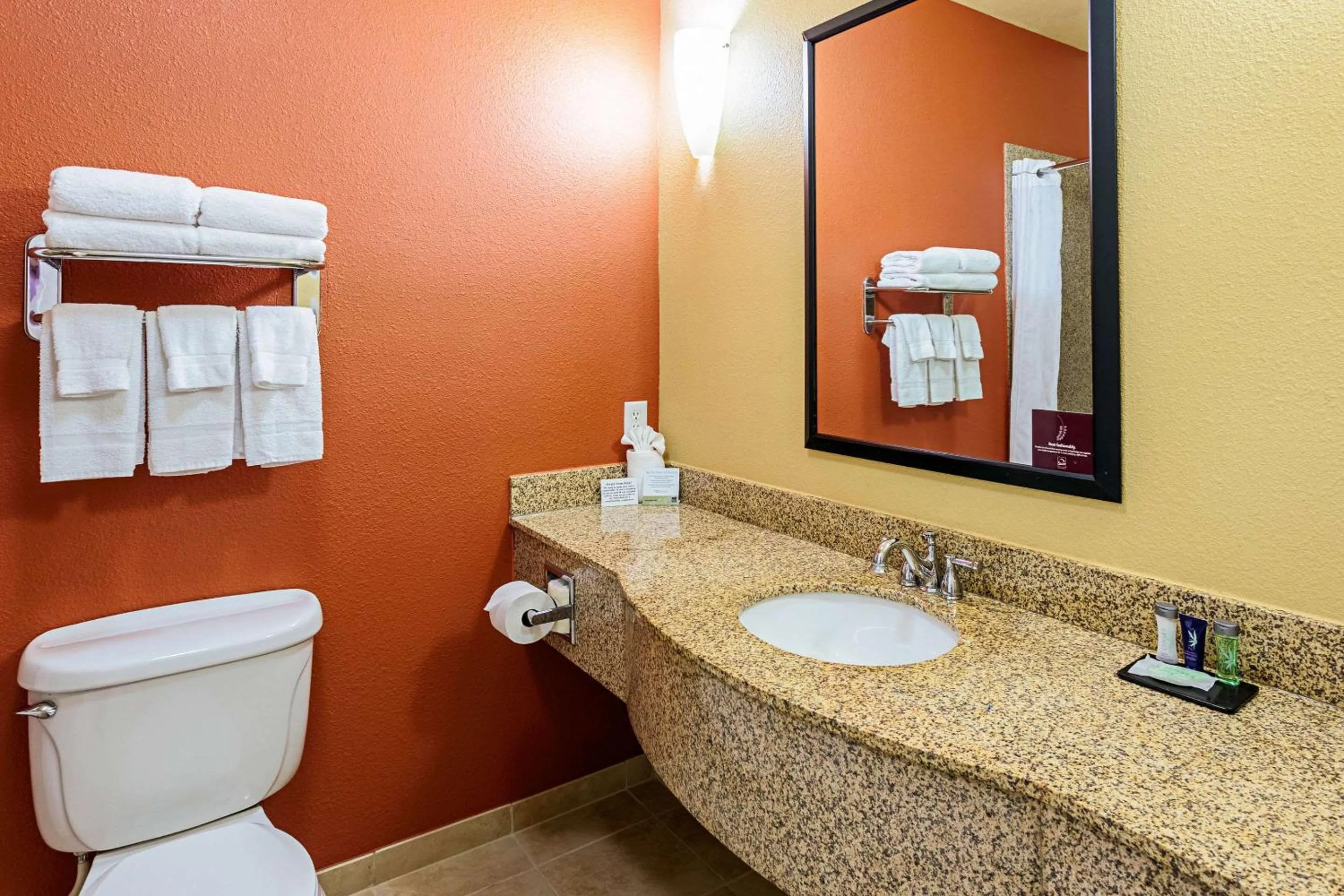 Bathroom in Sleep Inn & Suites Tyler South