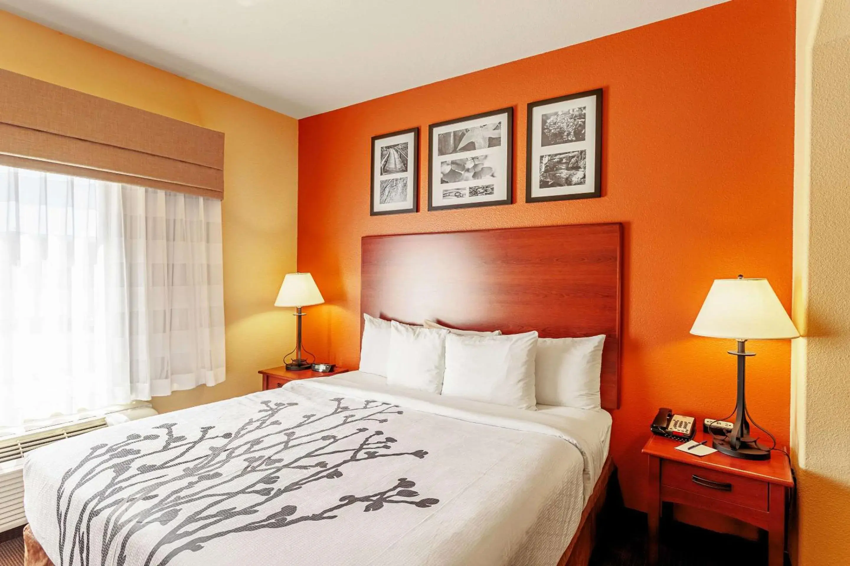 King Suite - Non-Smoking in Sleep Inn & Suites Tyler South King Suite - Non-Smoking in Sleep Inn & Suites Tyler South