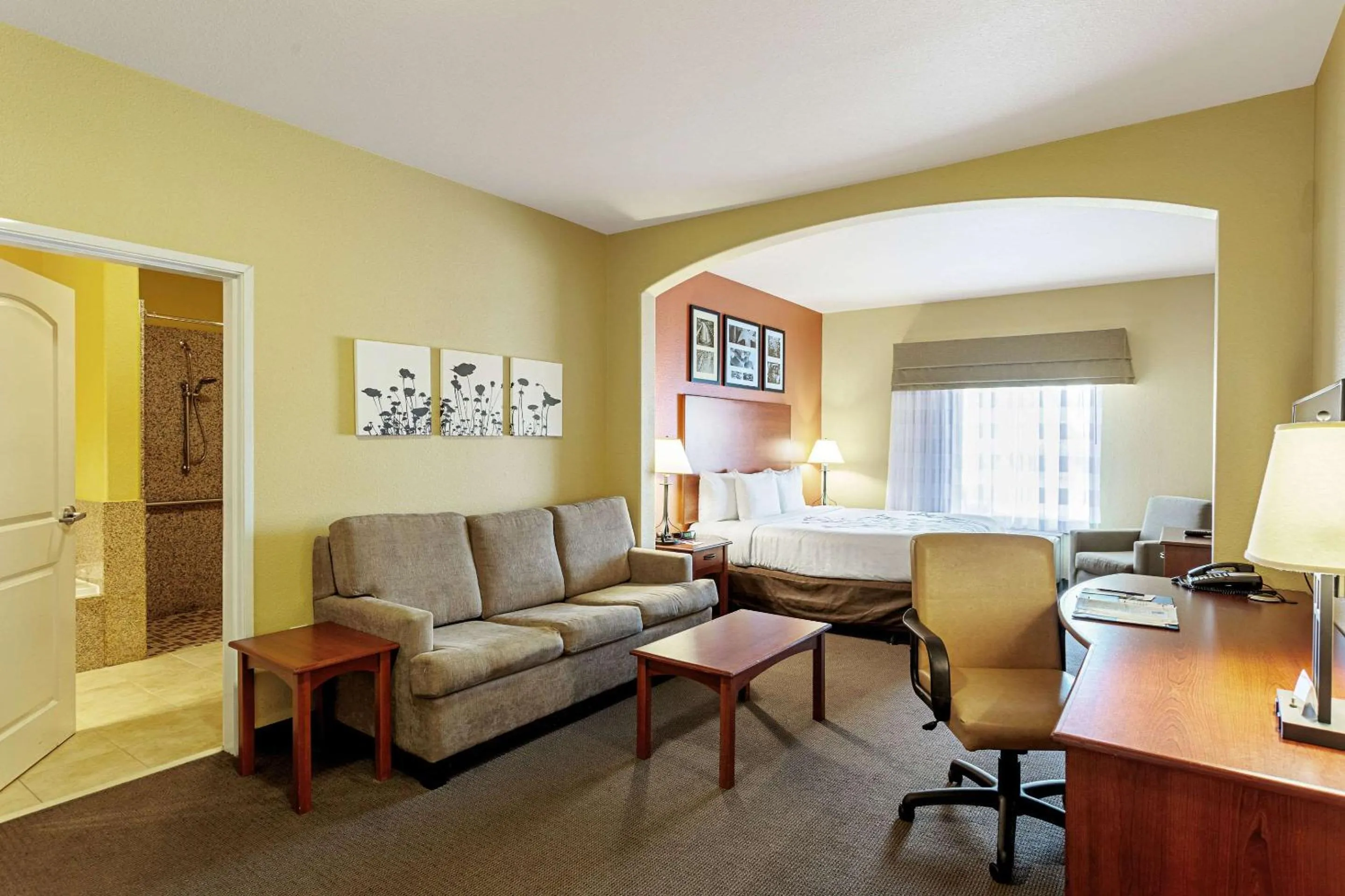 Photo of the whole room in Sleep Inn & Suites Tyler South