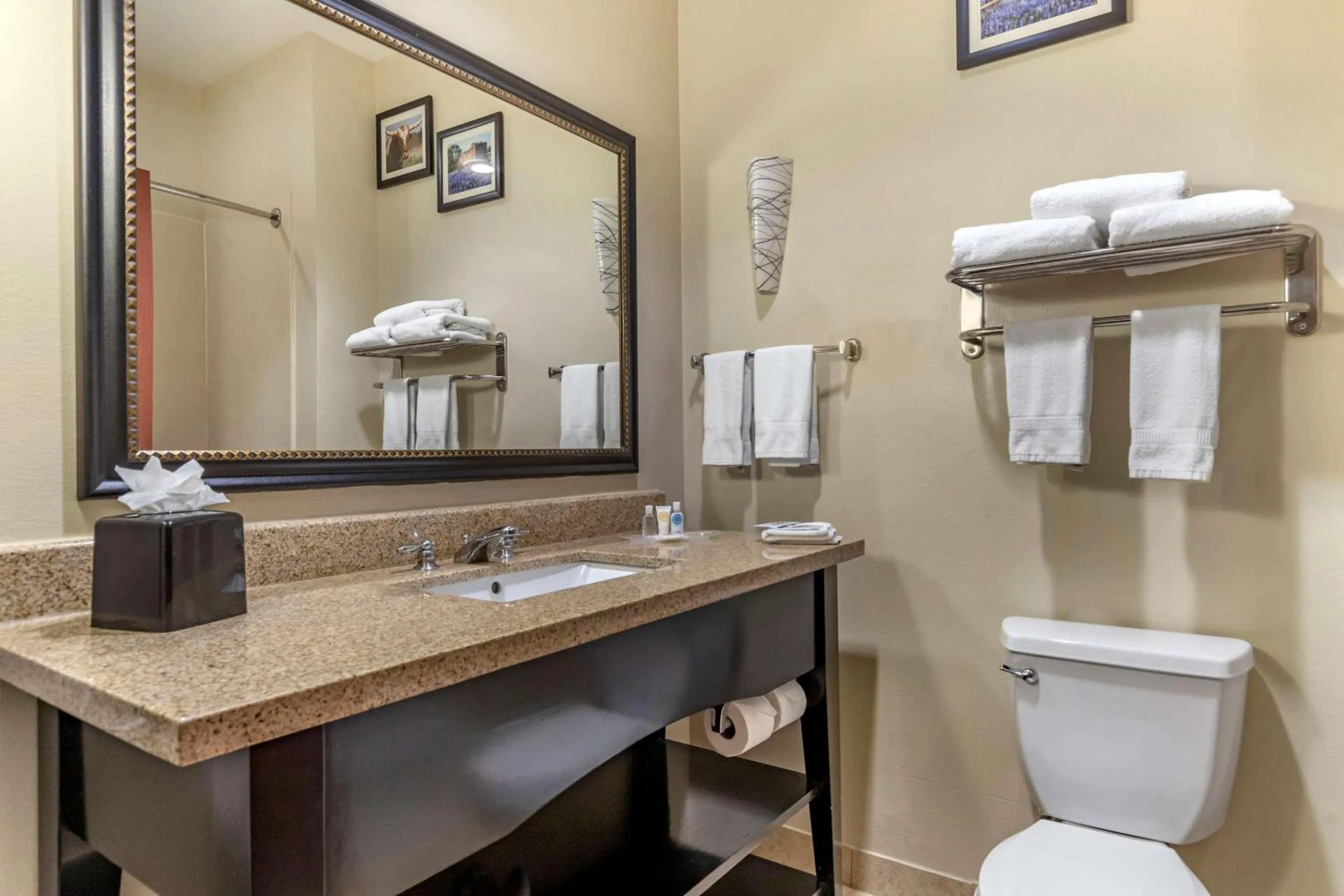 Photo of the whole room in Comfort Suites Buda - Austin South