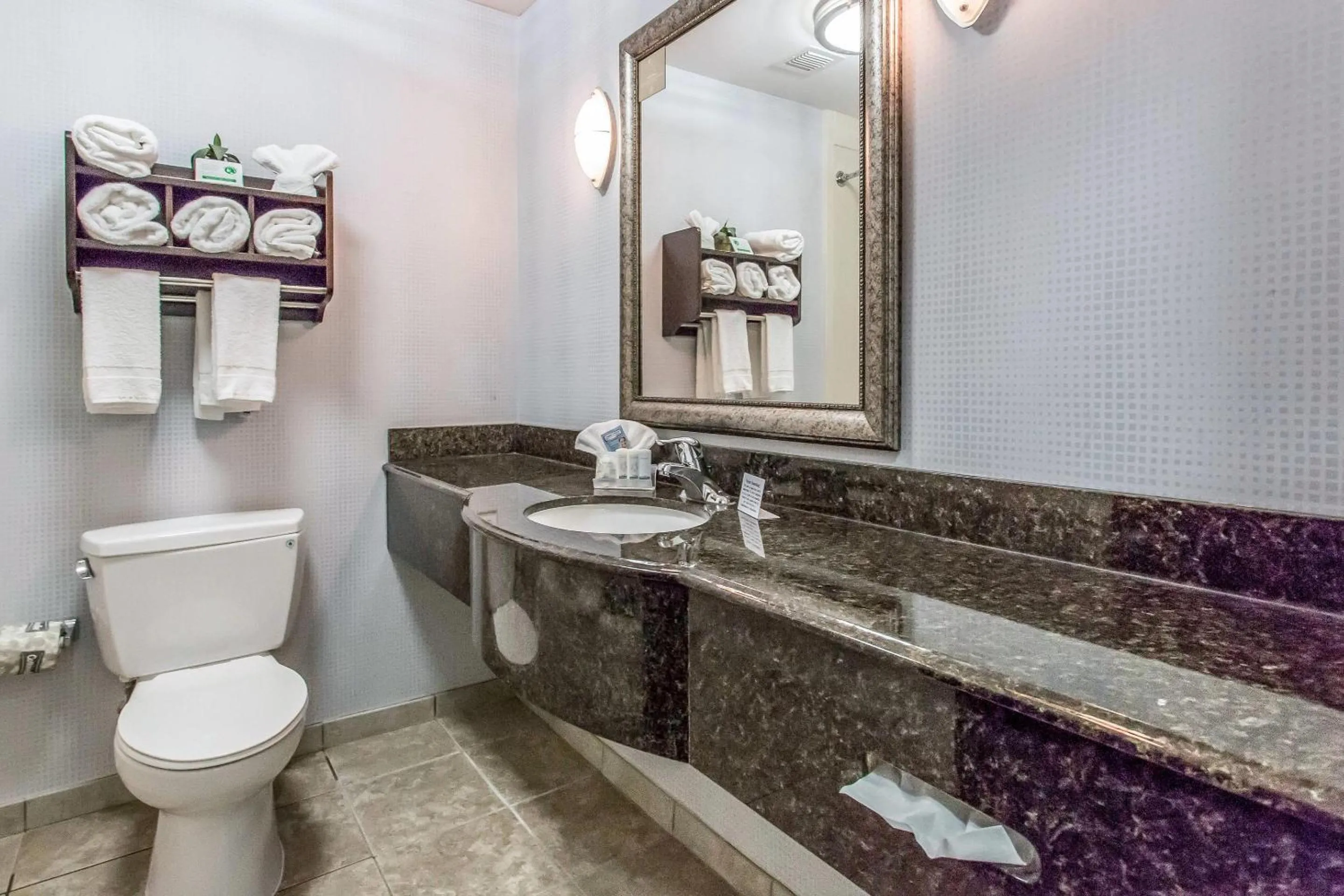 Bathroom in Sleep Inn & Suites West Medical Center