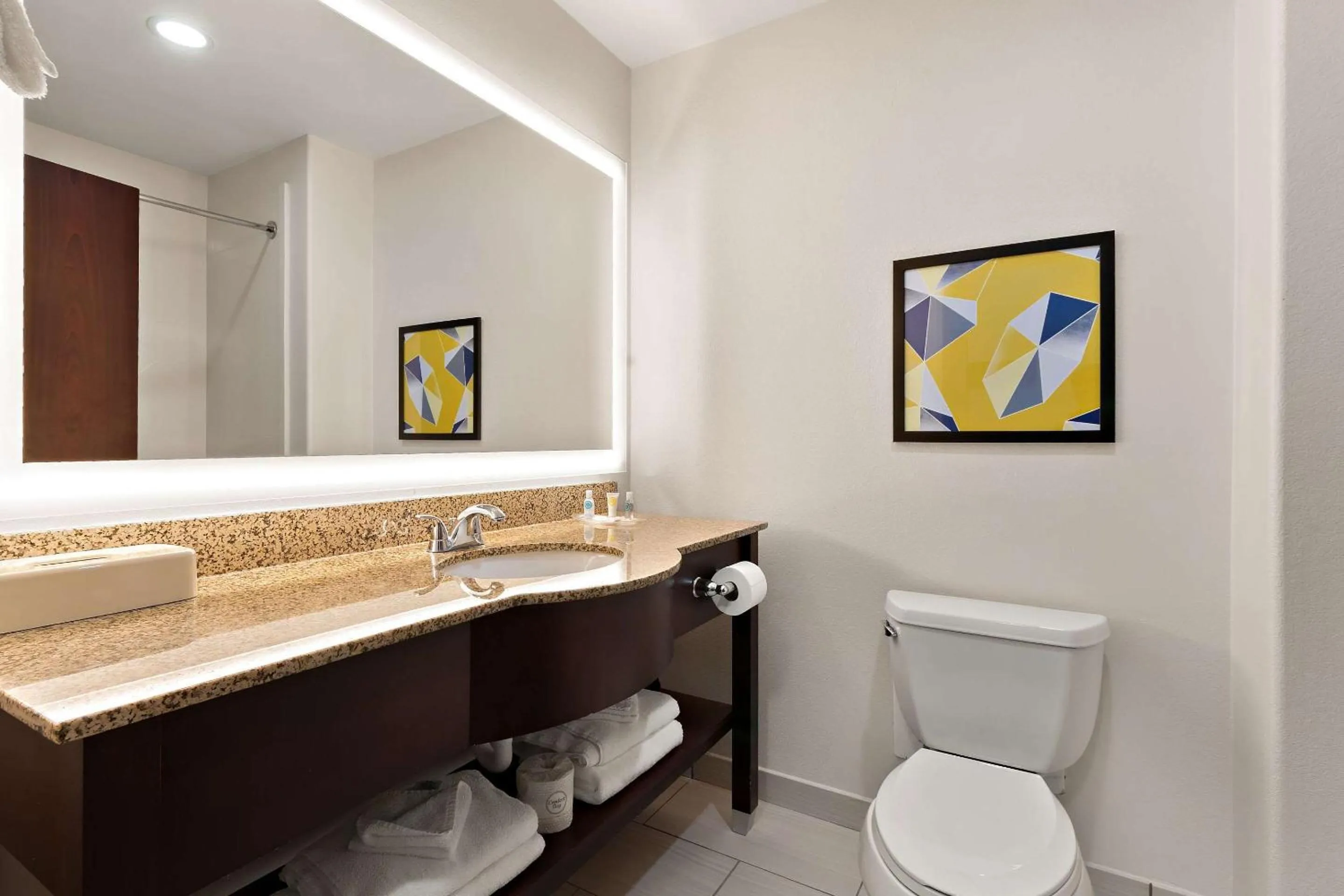 Bathroom in Comfort Suites Bastrop