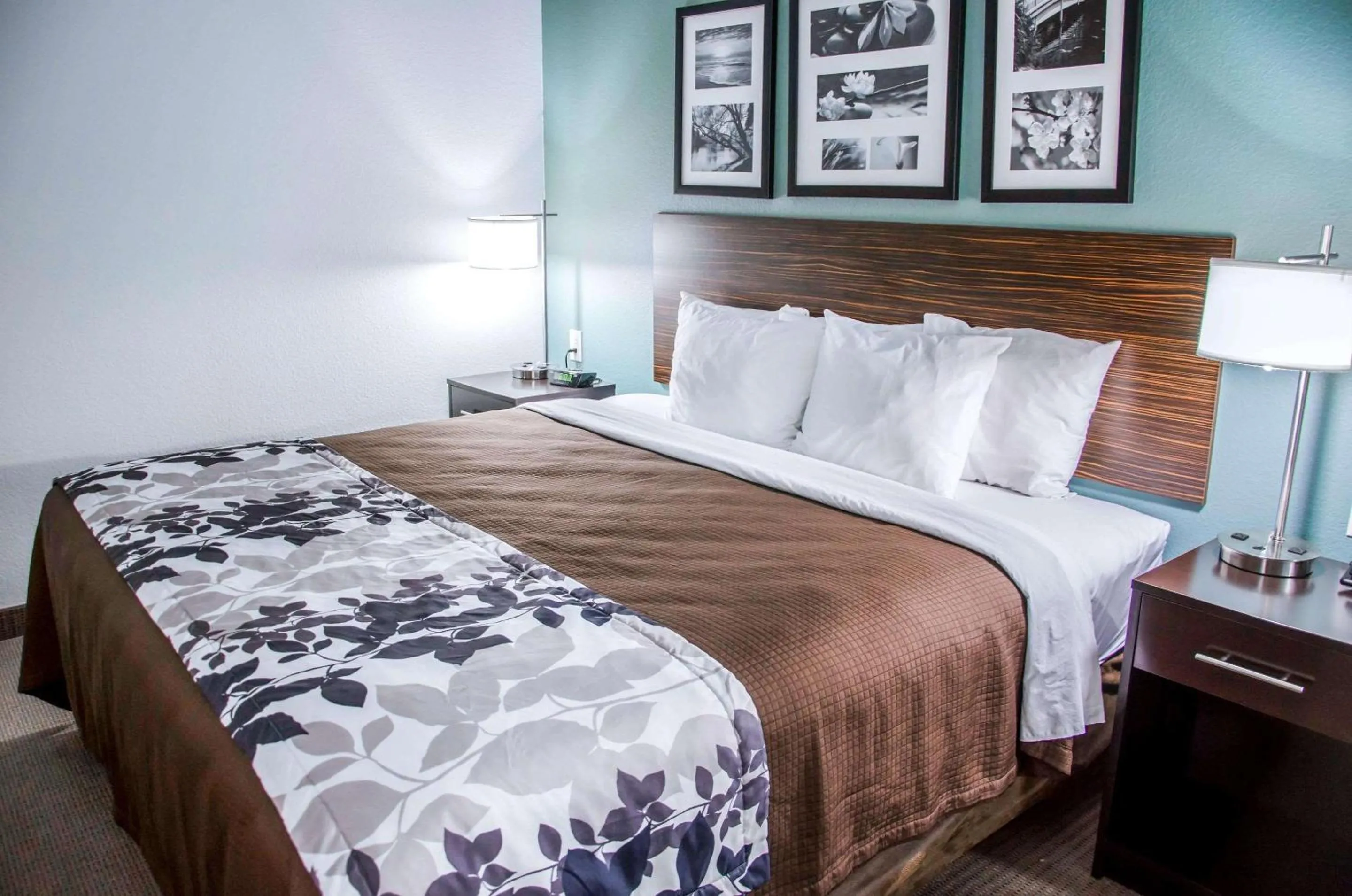 Photo of the whole room in Sleep Inn & Suites Center