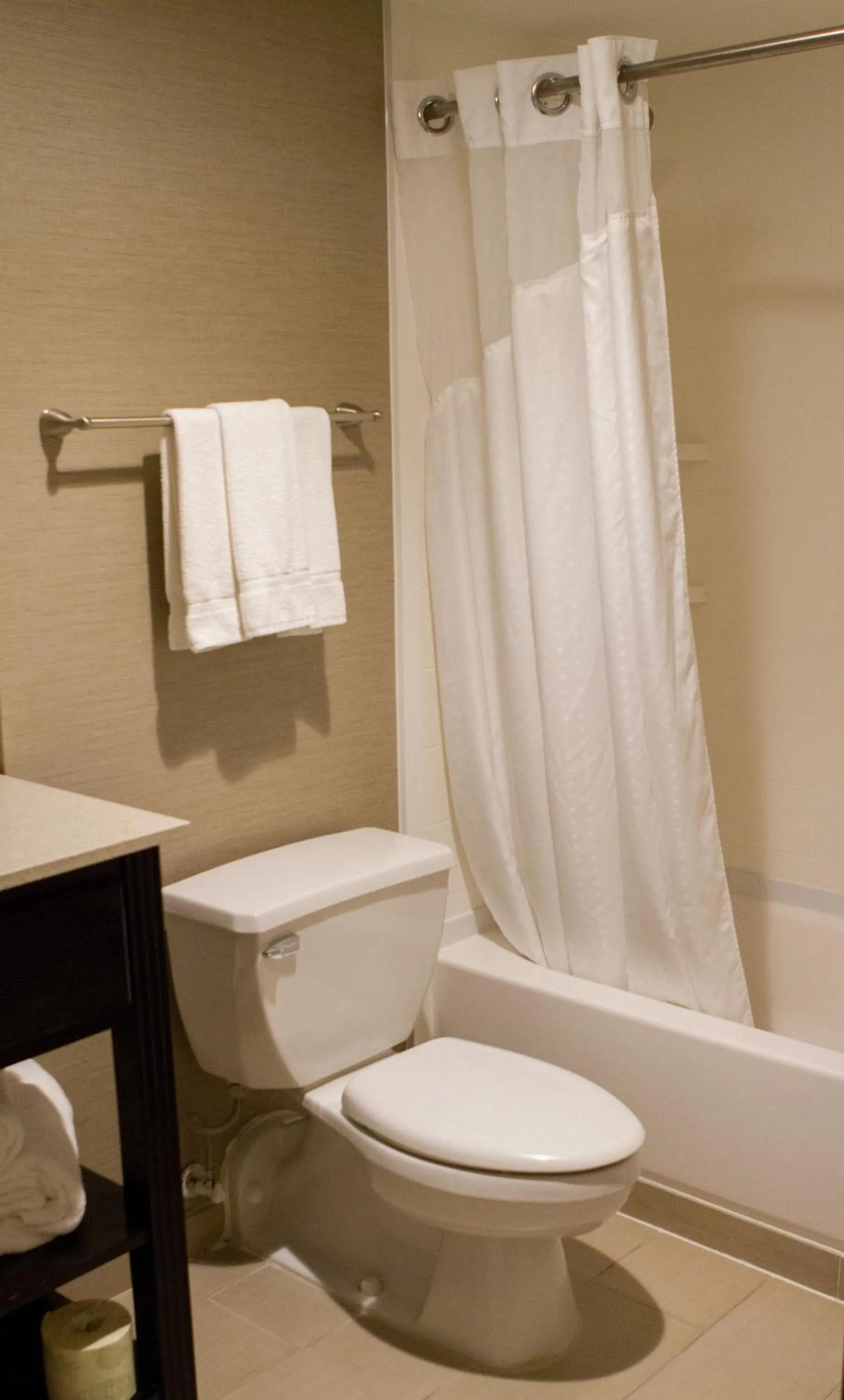 Bathroom in Holiday Inn Express & Suites San Antonio Medical - Six Flags by IHG